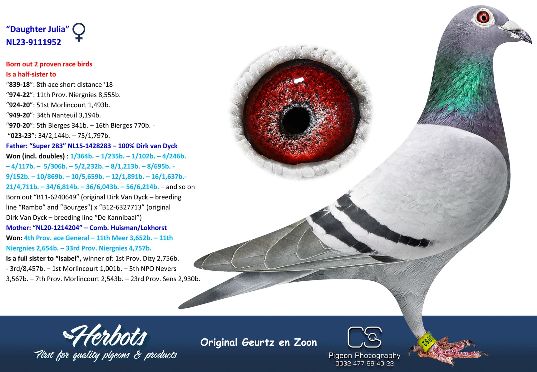 pigeon: undefined