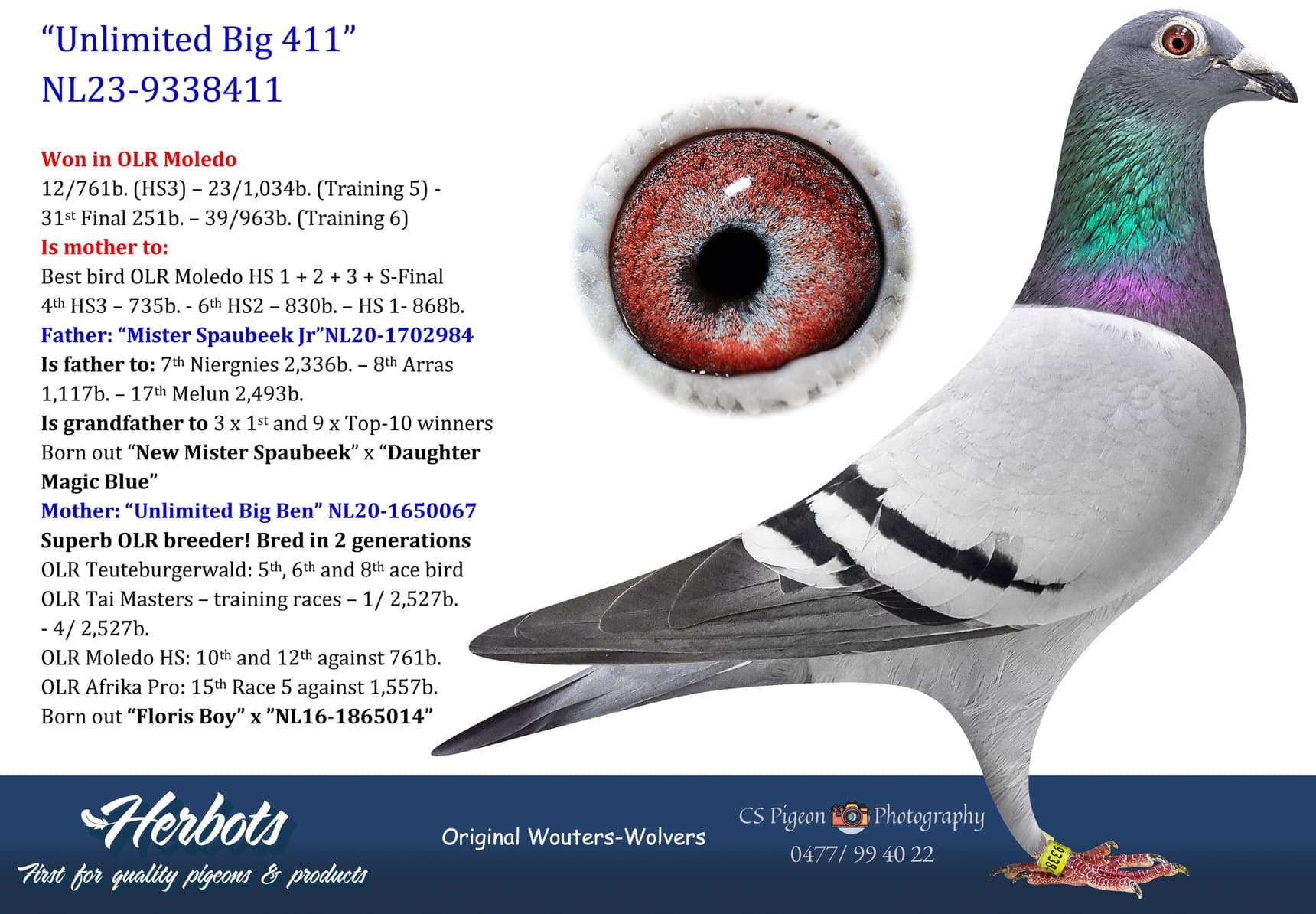 pigeon: undefined