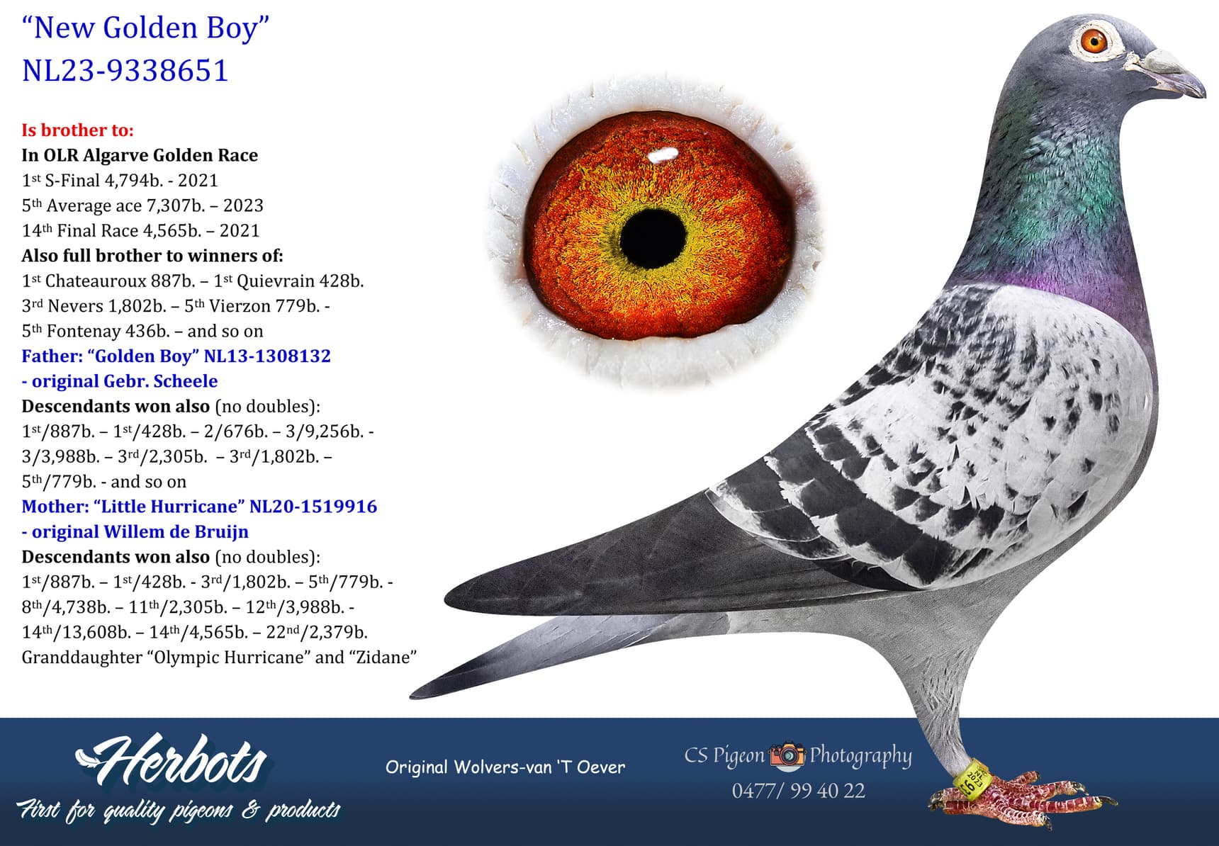 pigeon: undefined