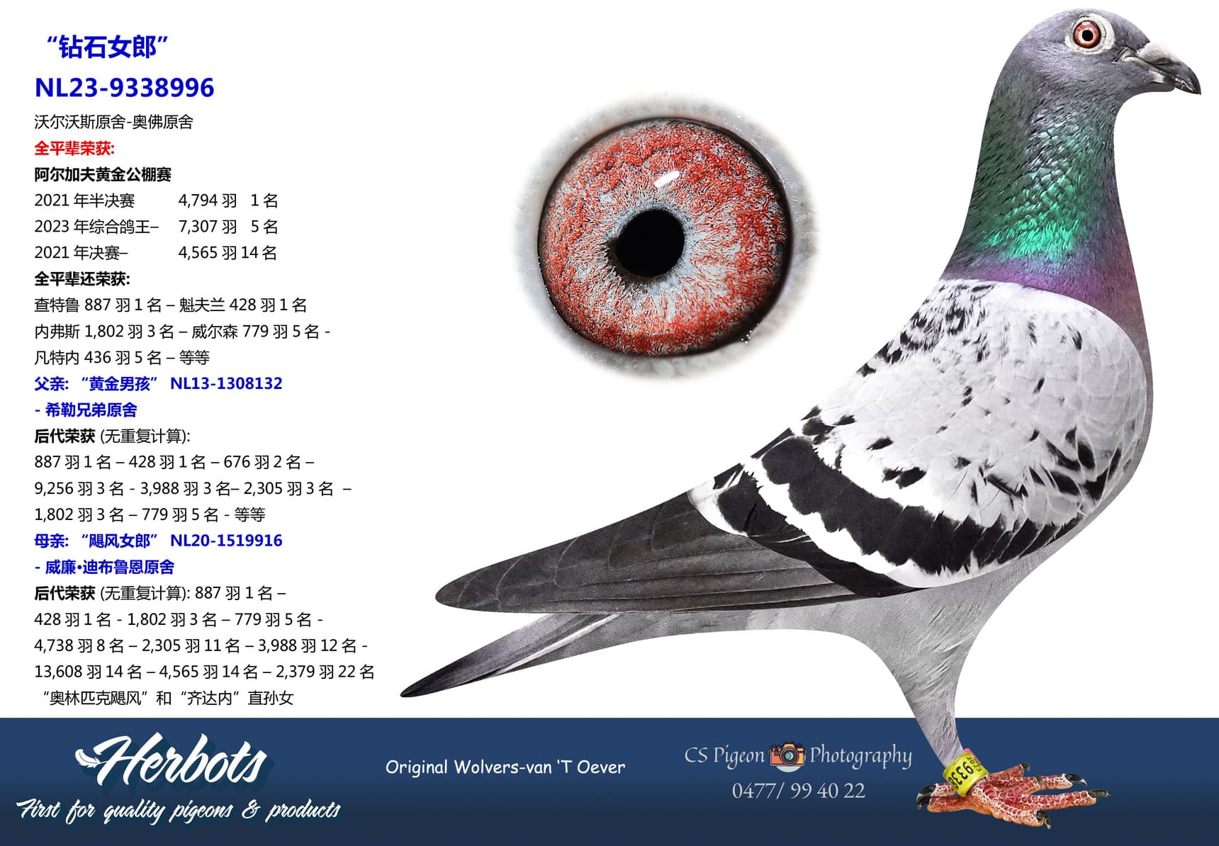 pigeon: undefined