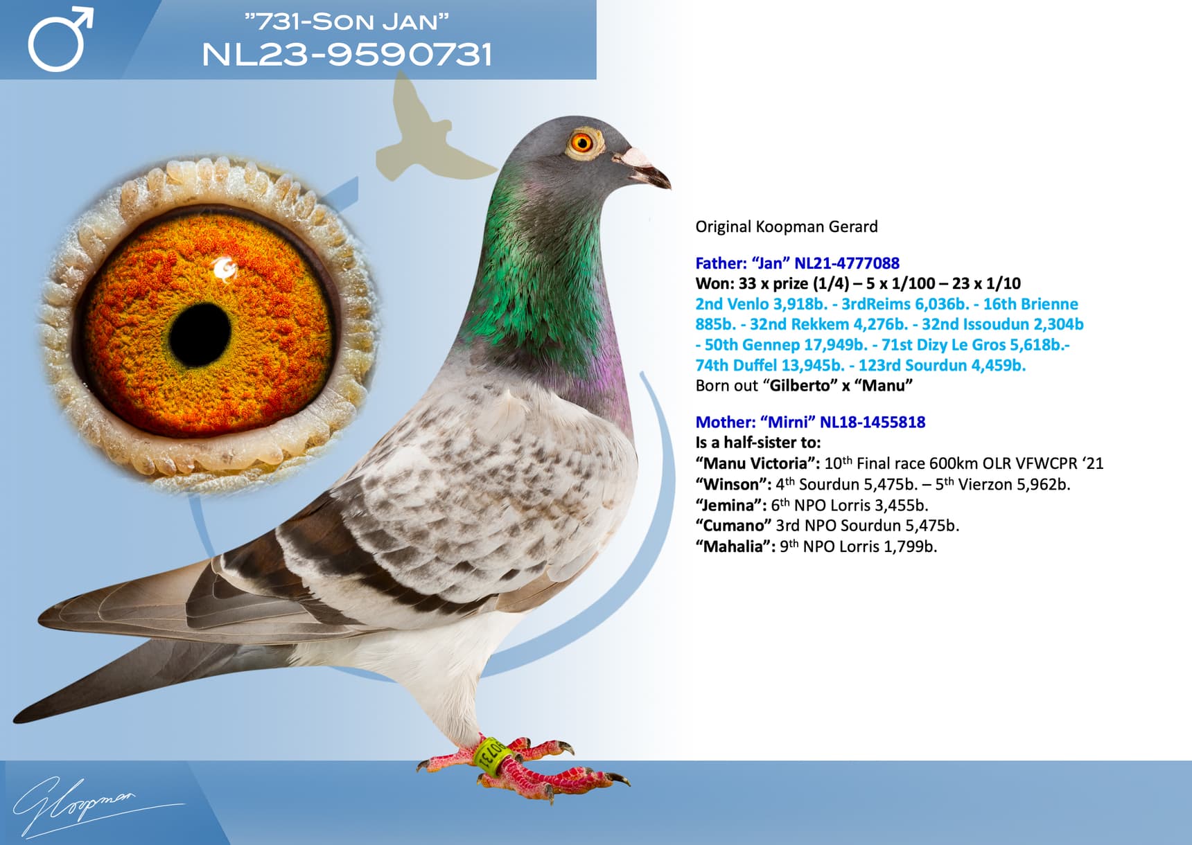 pigeon: undefined