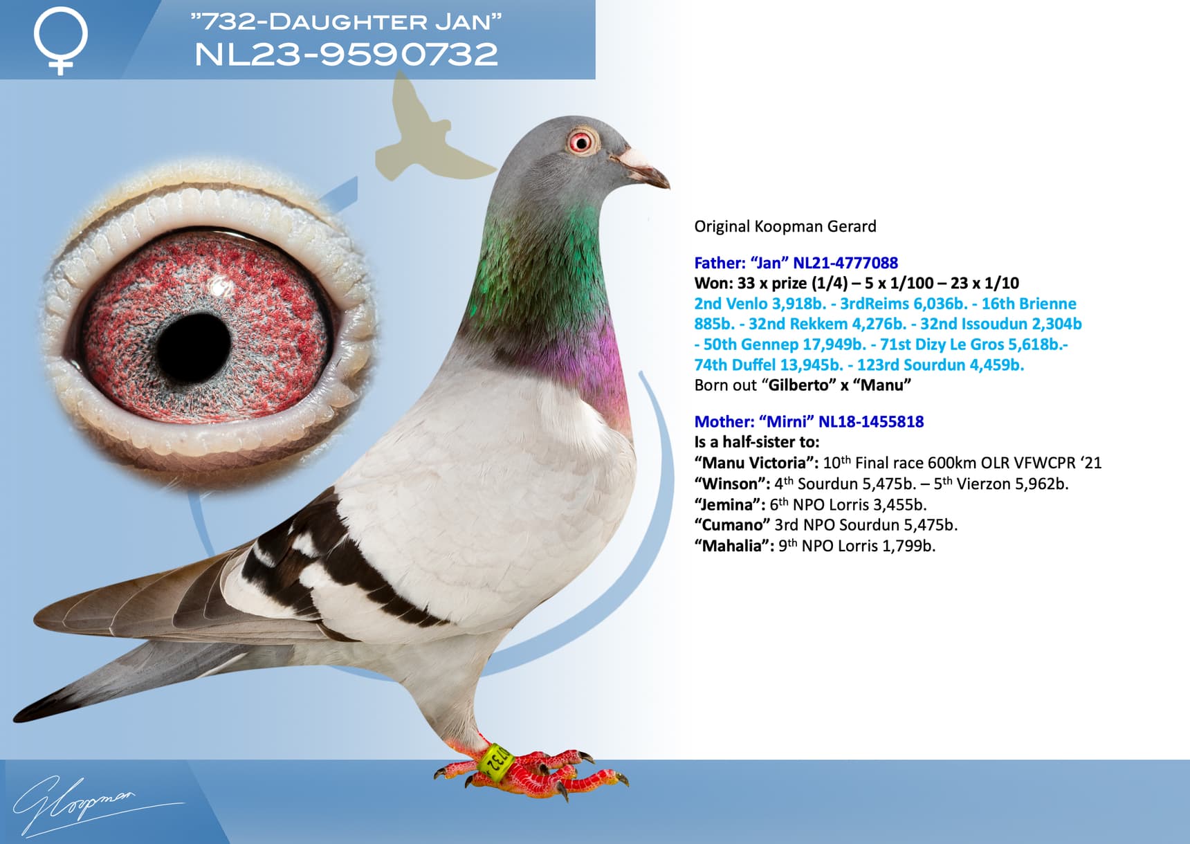 pigeon: undefined