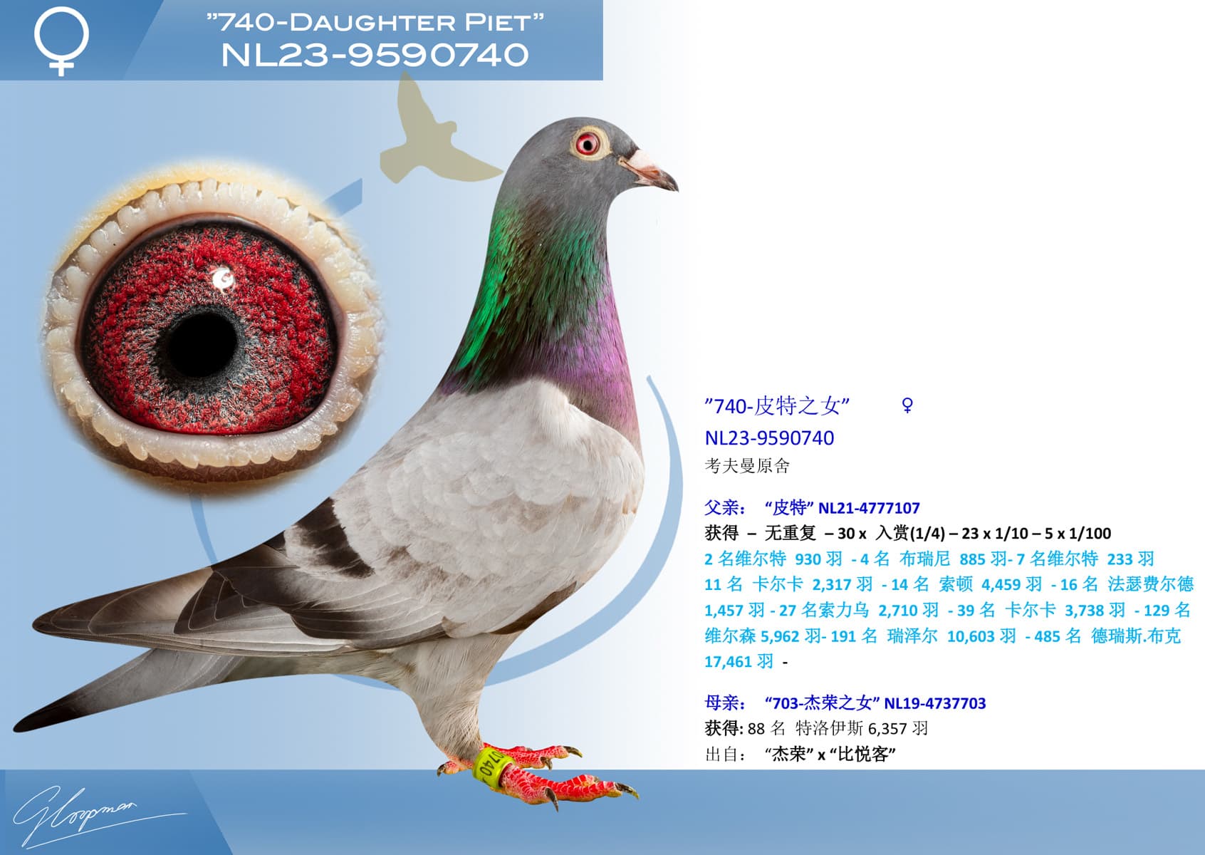 pigeon: undefined