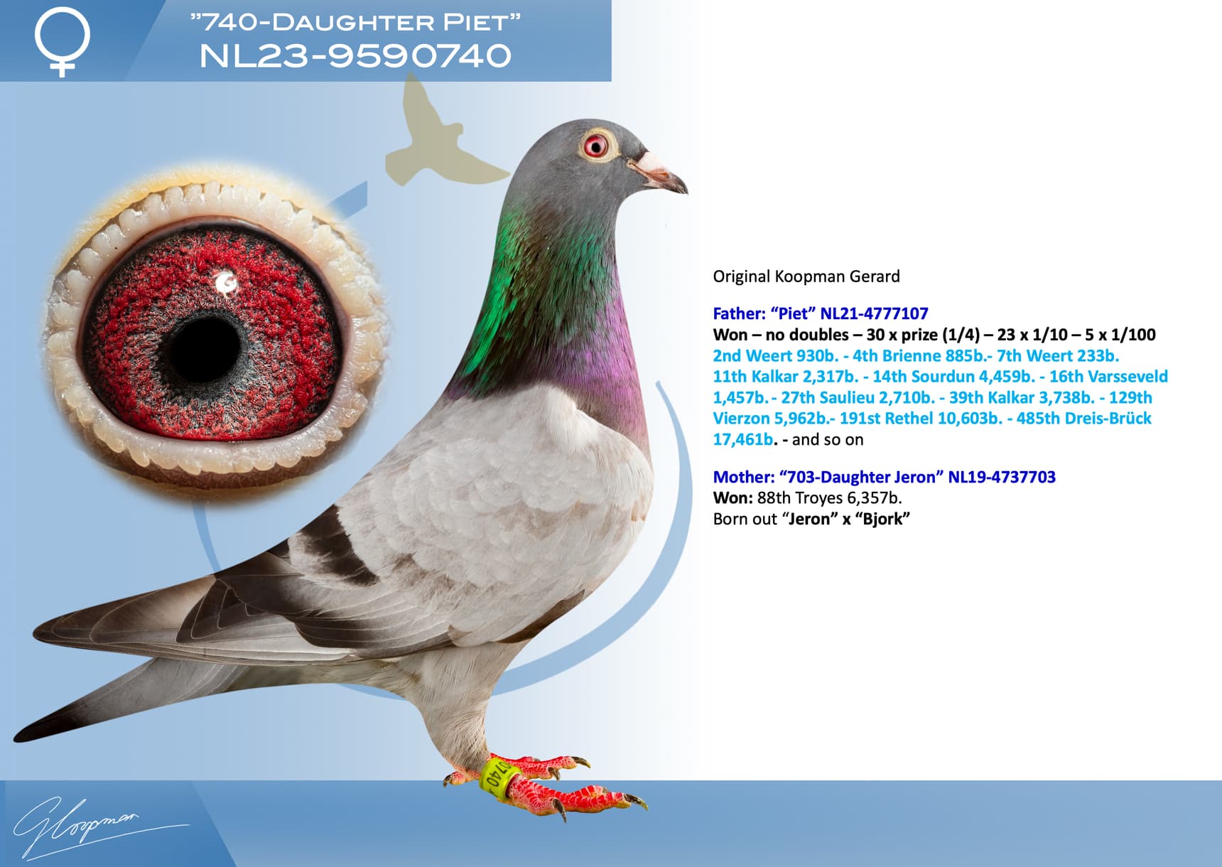 pigeon: undefined
