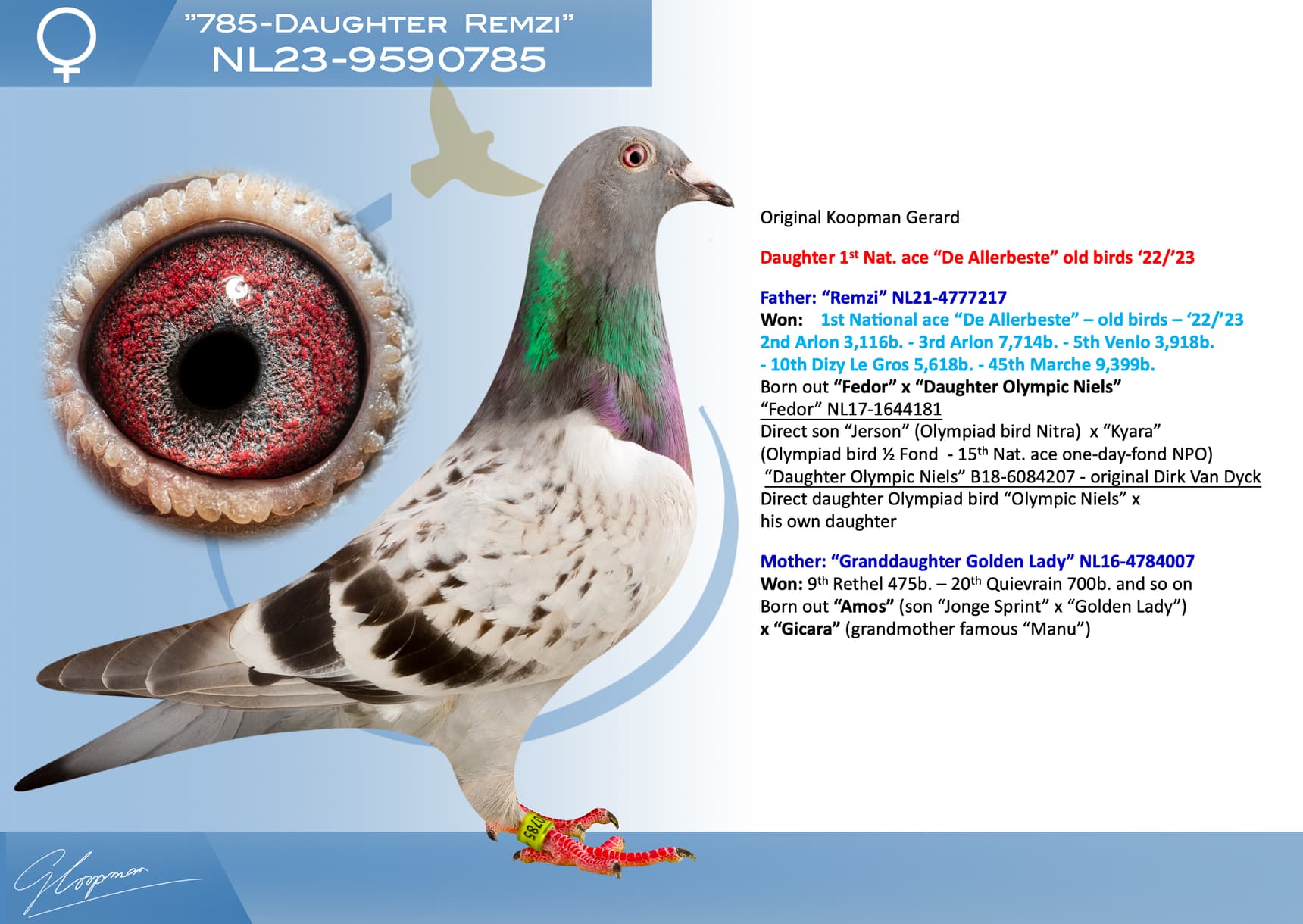 pigeon: undefined