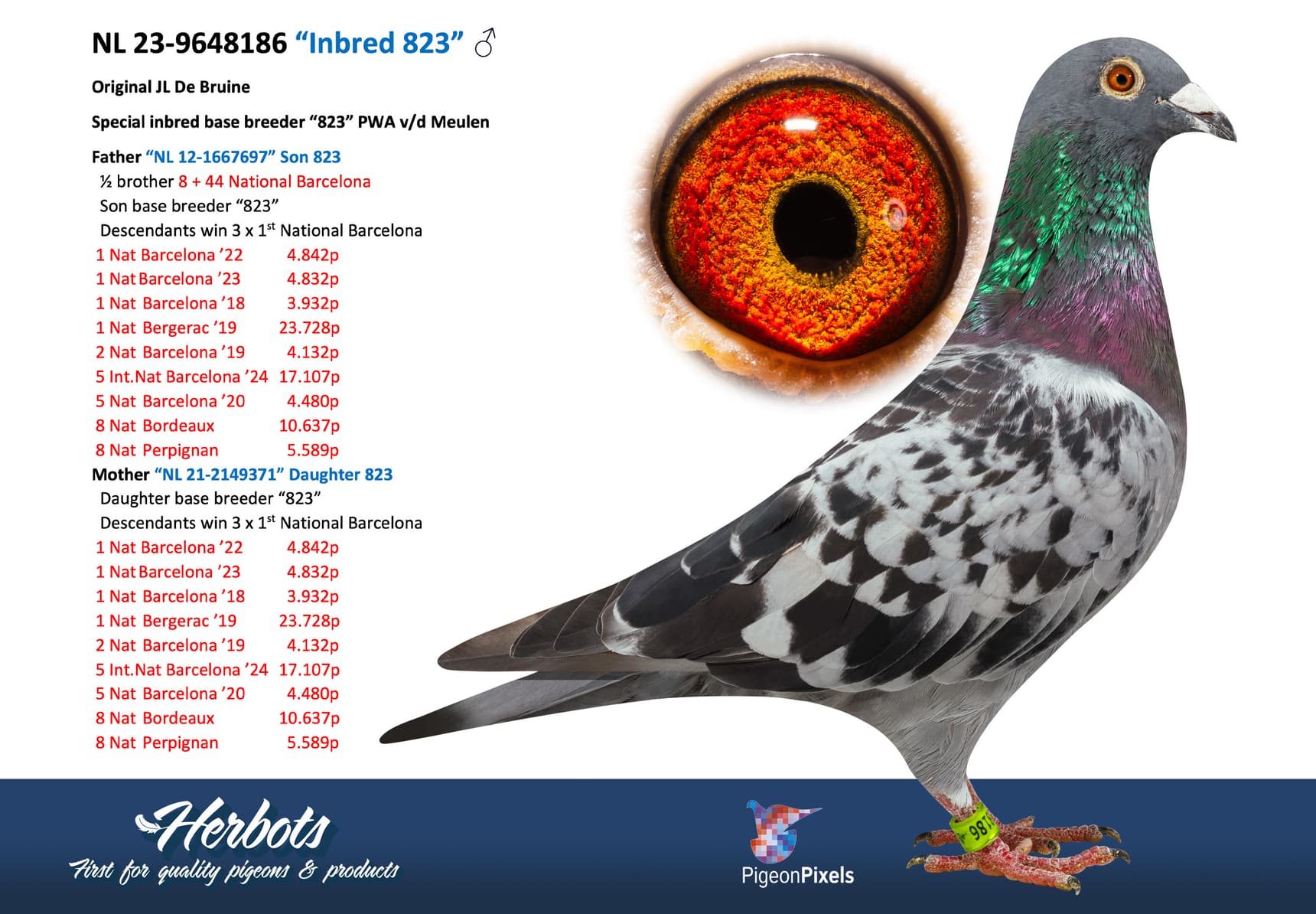 pigeon: undefined