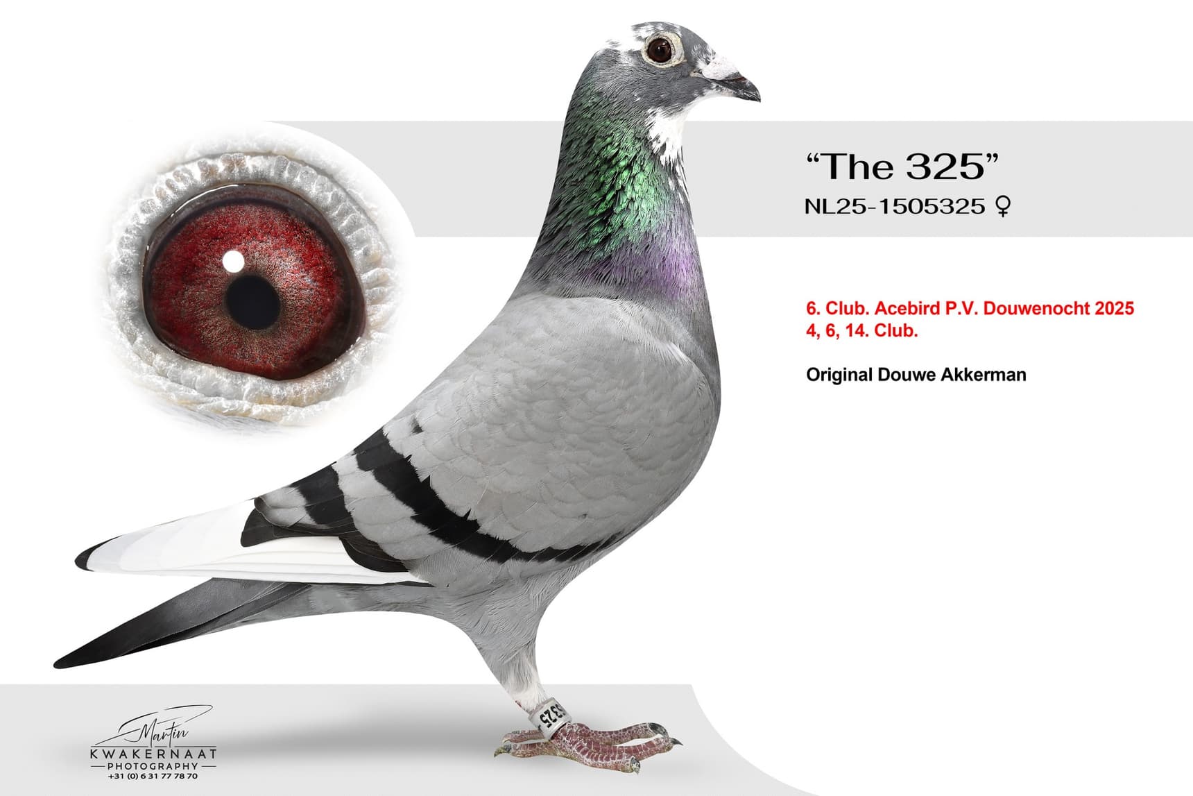 ‘The 325’