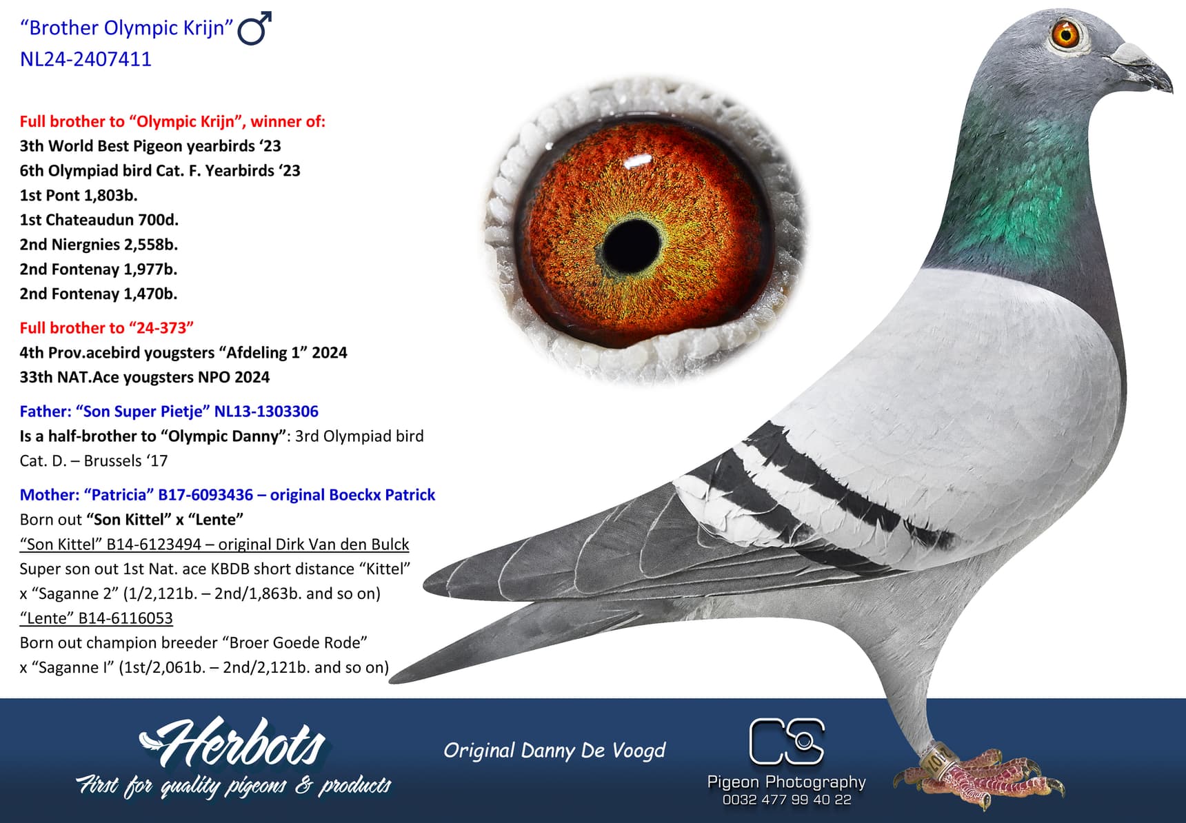 pigeon: undefined