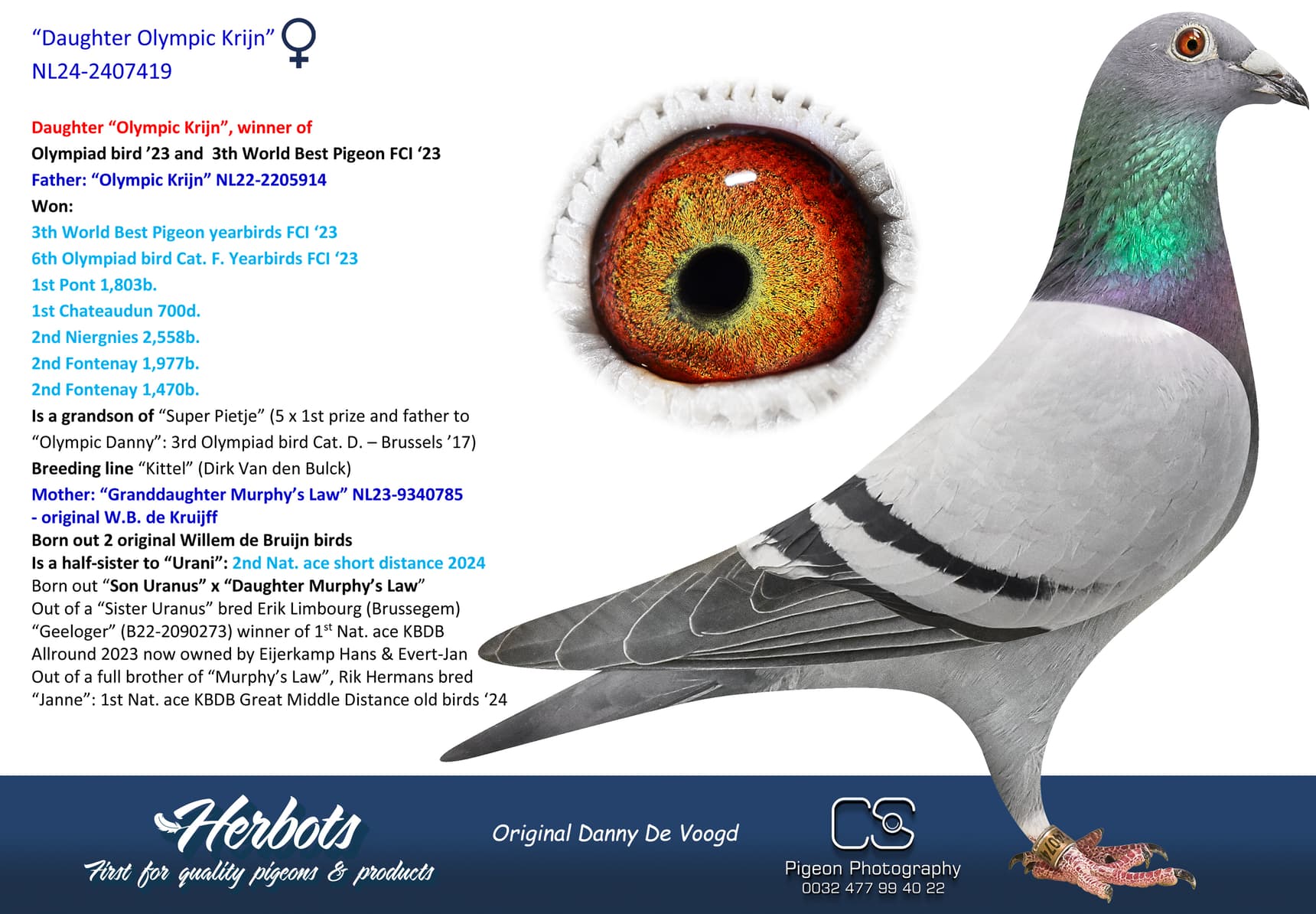 pigeon: undefined