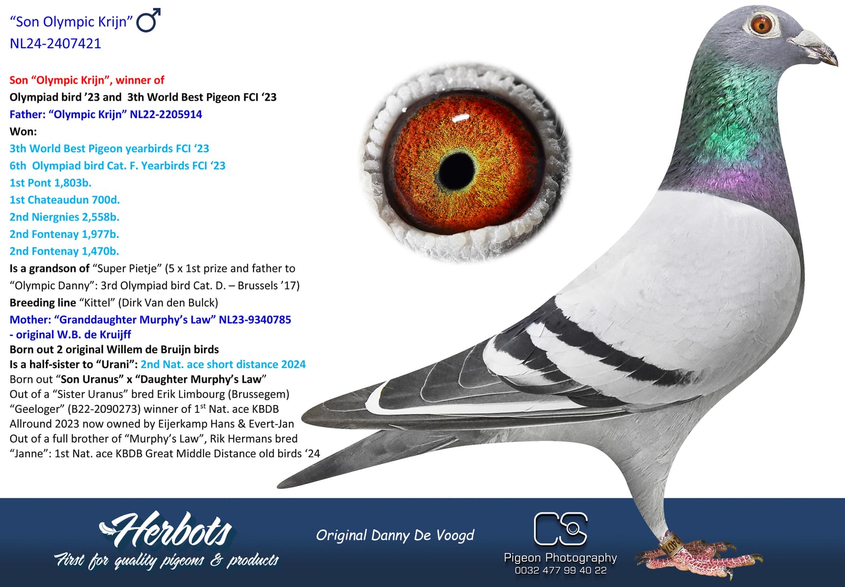 pigeon: undefined