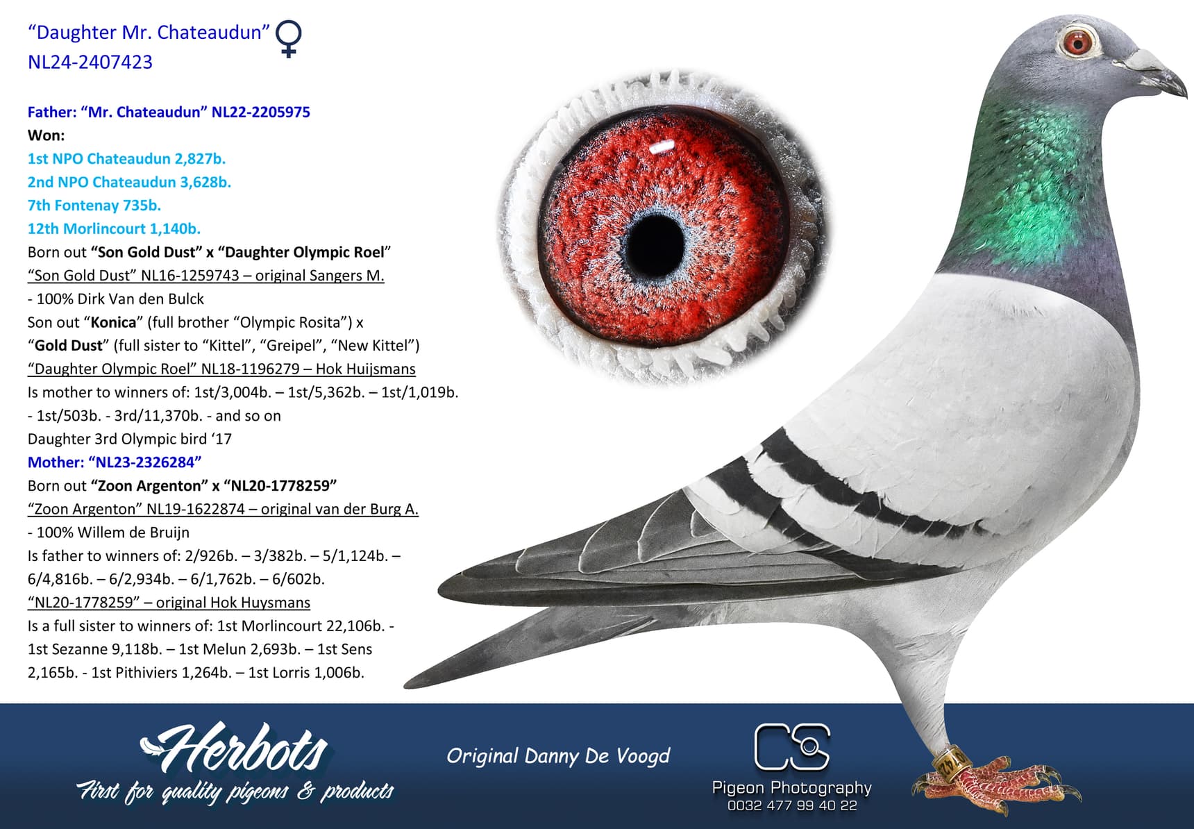 pigeon: undefined