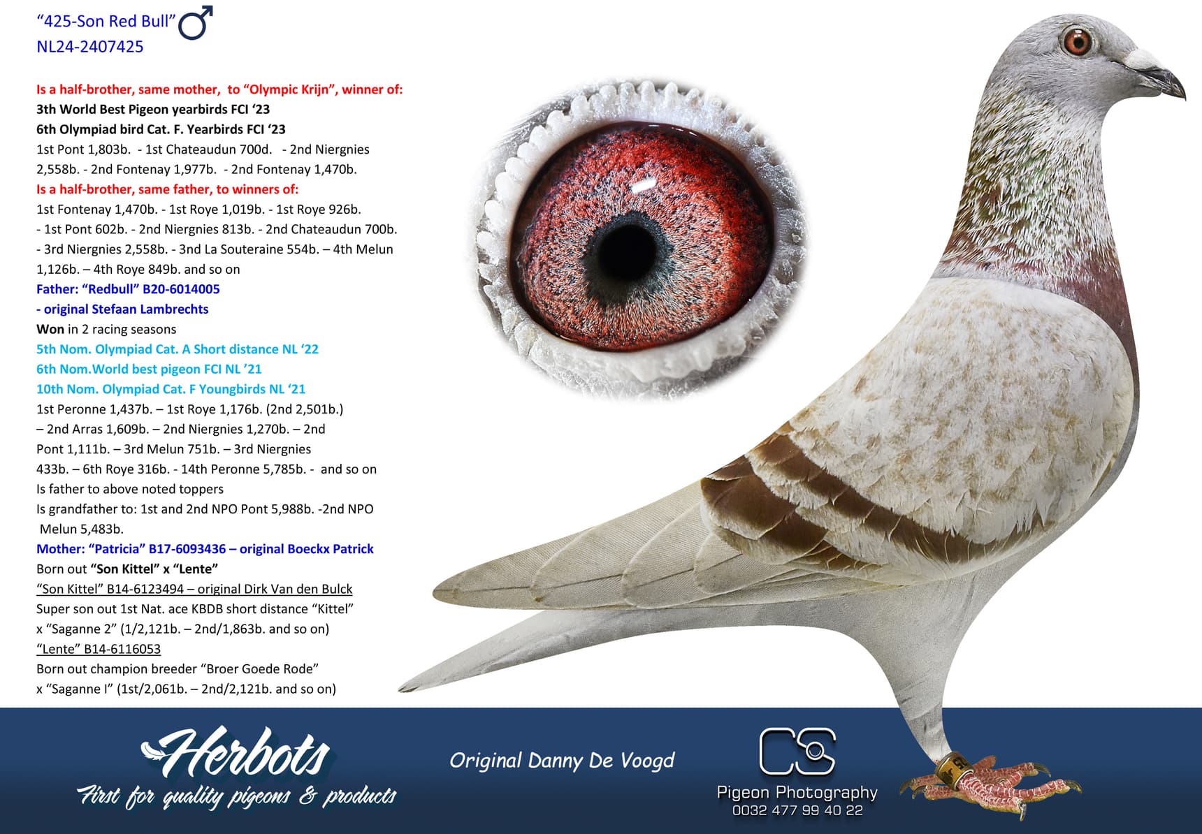 pigeon: undefined