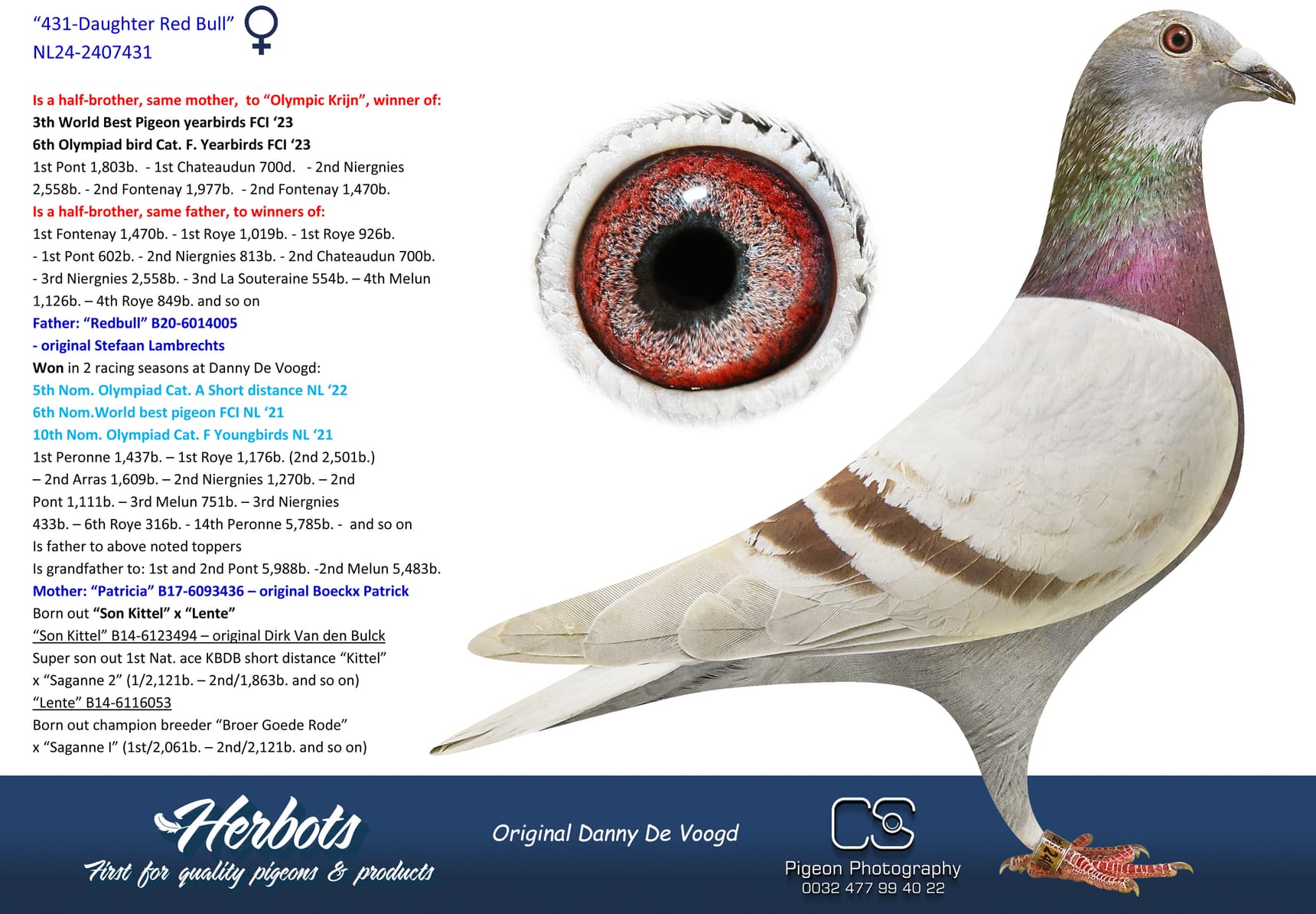 pigeon: undefined