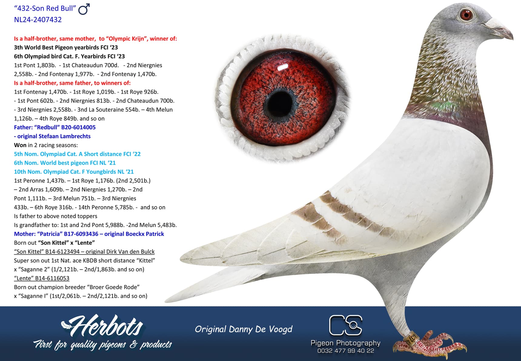 pigeon: undefined