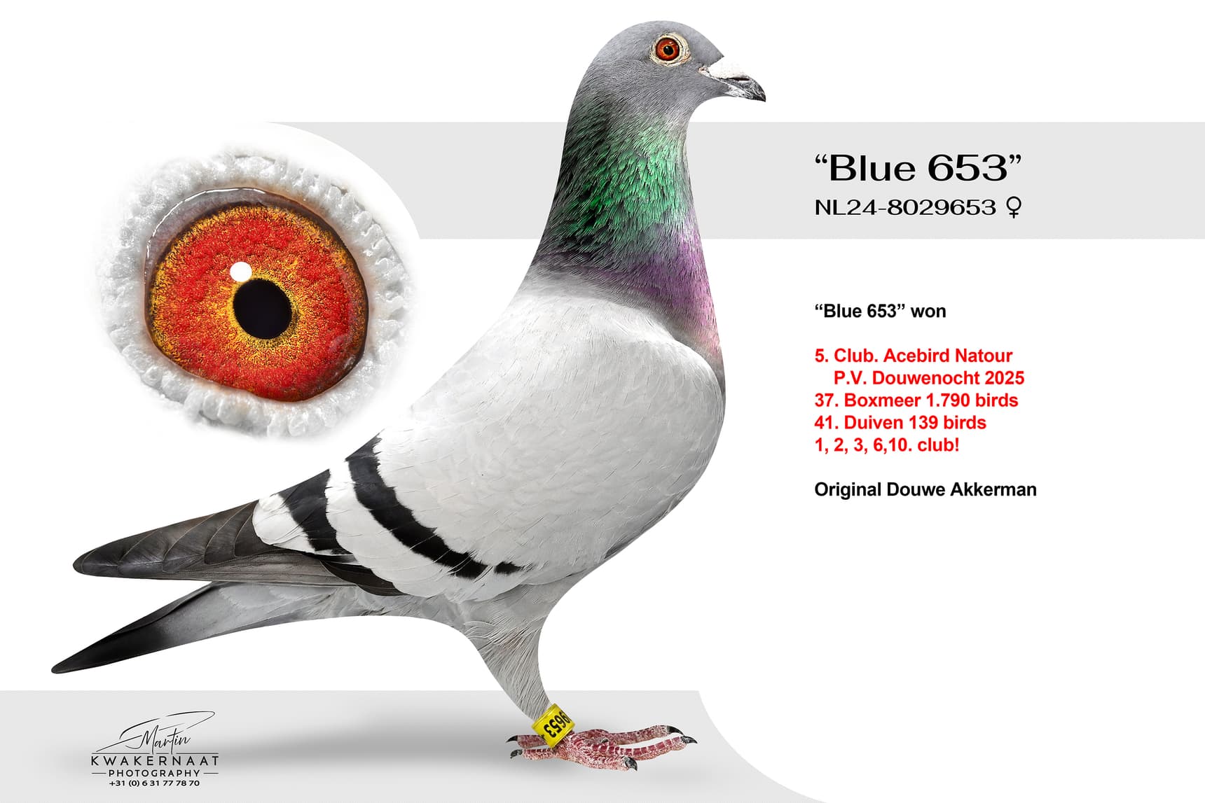 ‘Blue 653’