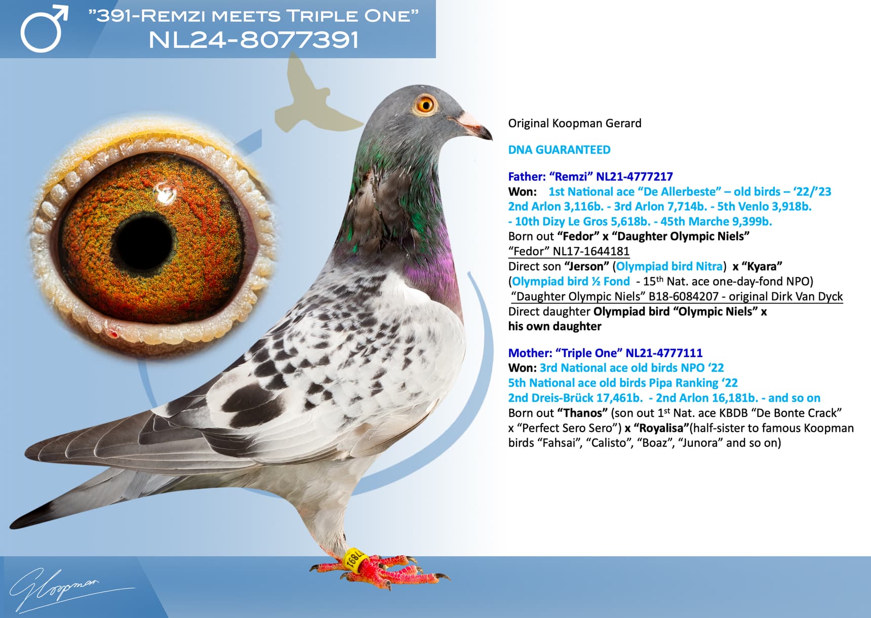 pigeon: undefined