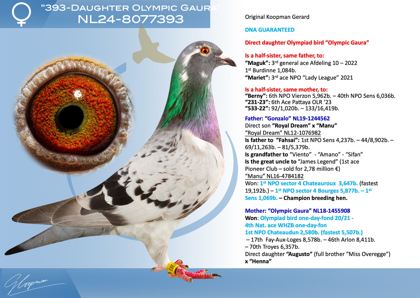 pigeon: undefined