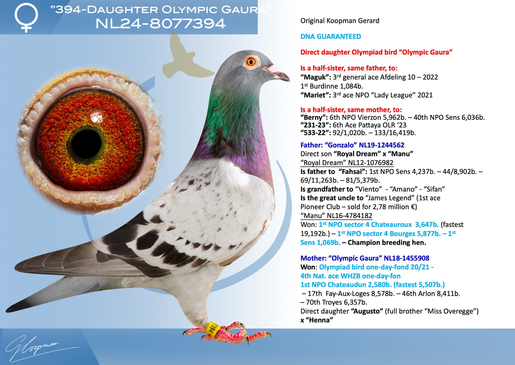 pigeon: undefined