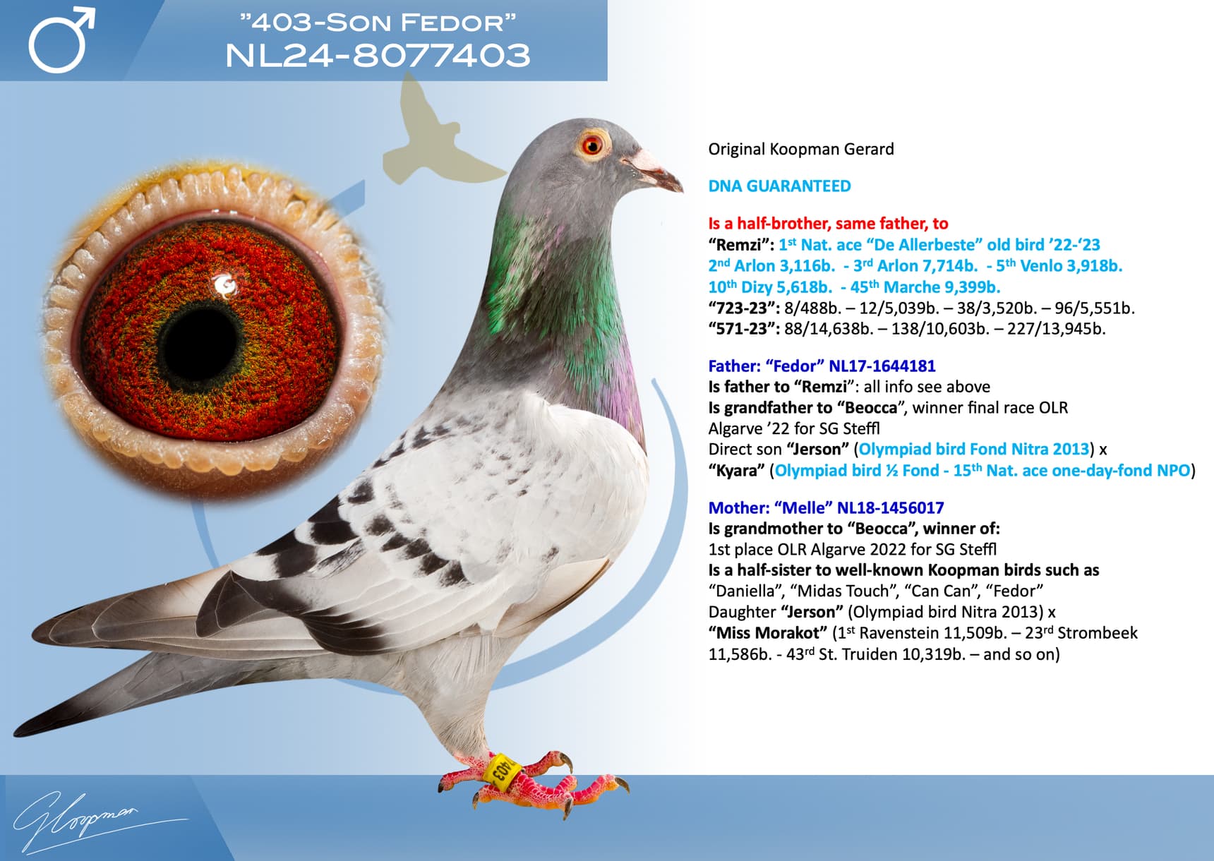 pigeon: undefined