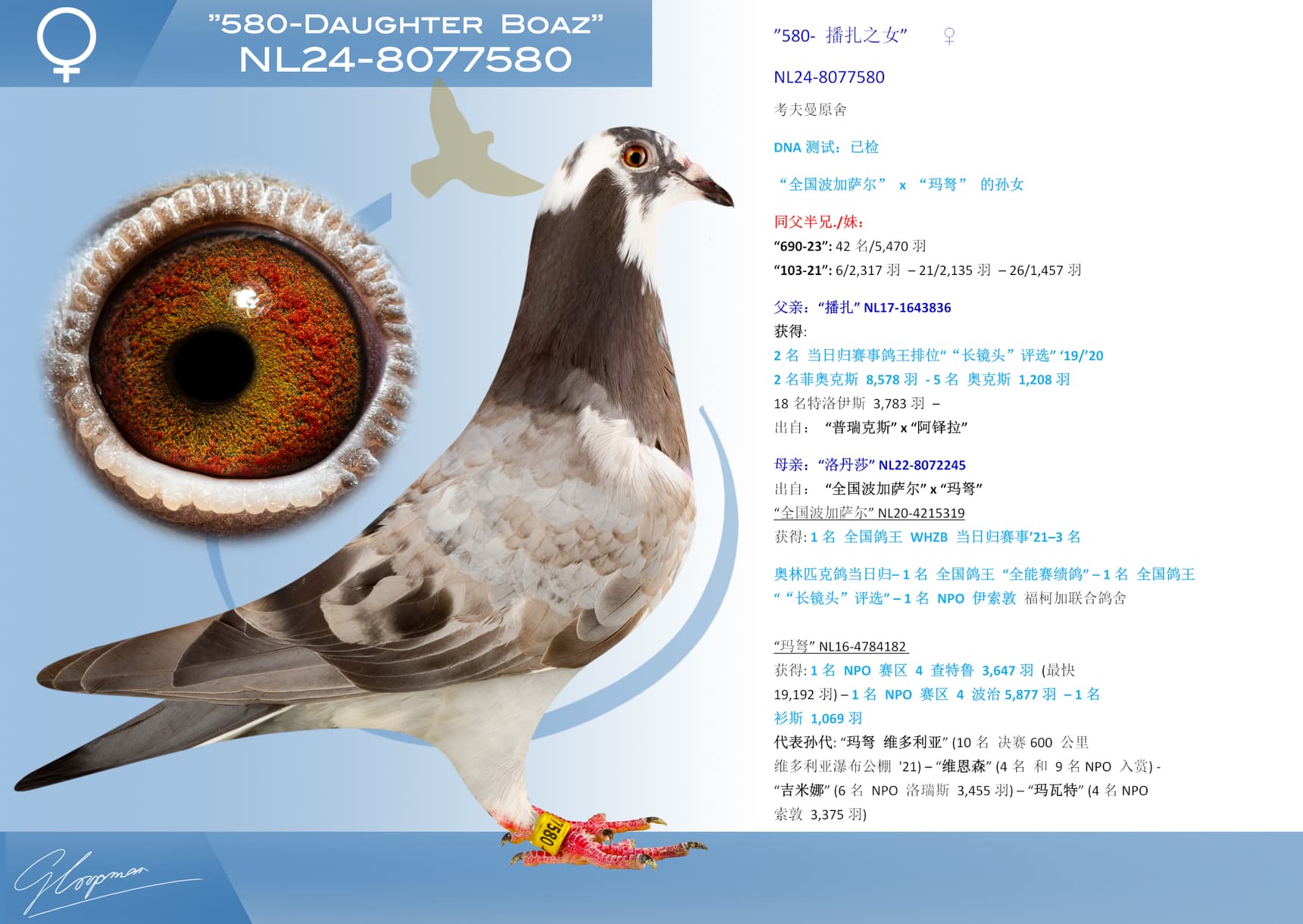 pigeon: ”580- 播扎之女”