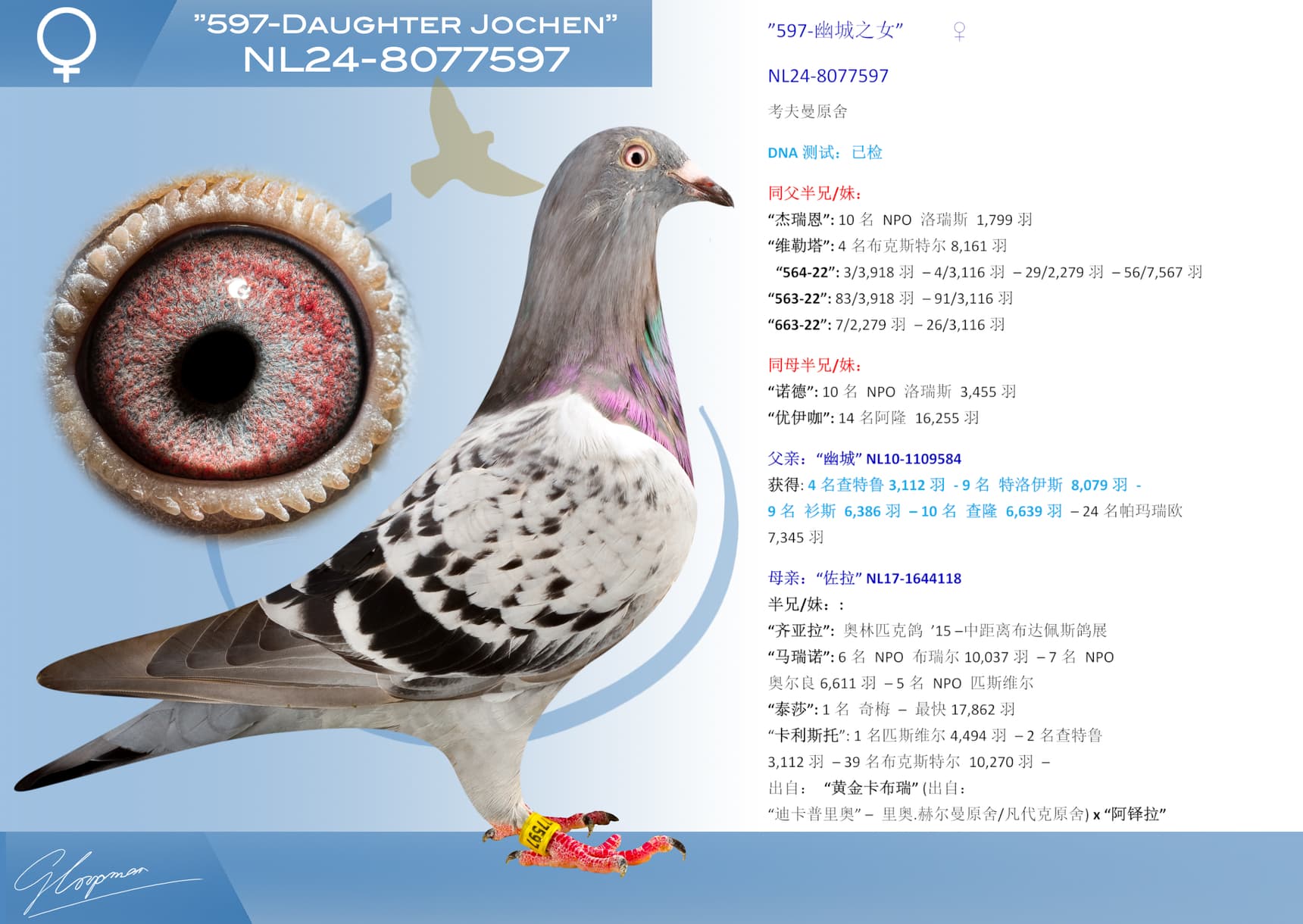 pigeon: ”597-幽城之女”
