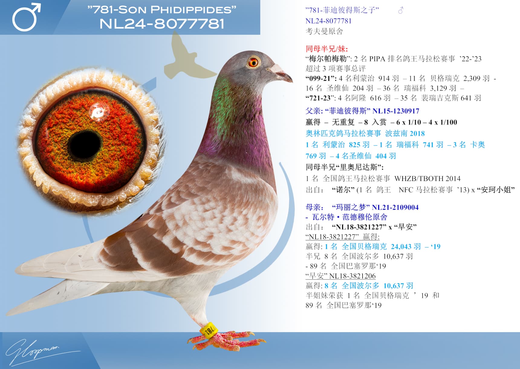pigeon: undefined
