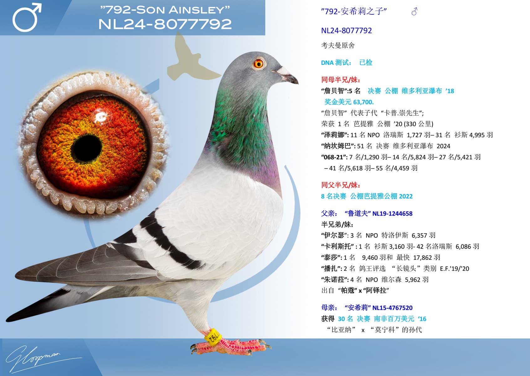 pigeon: undefined