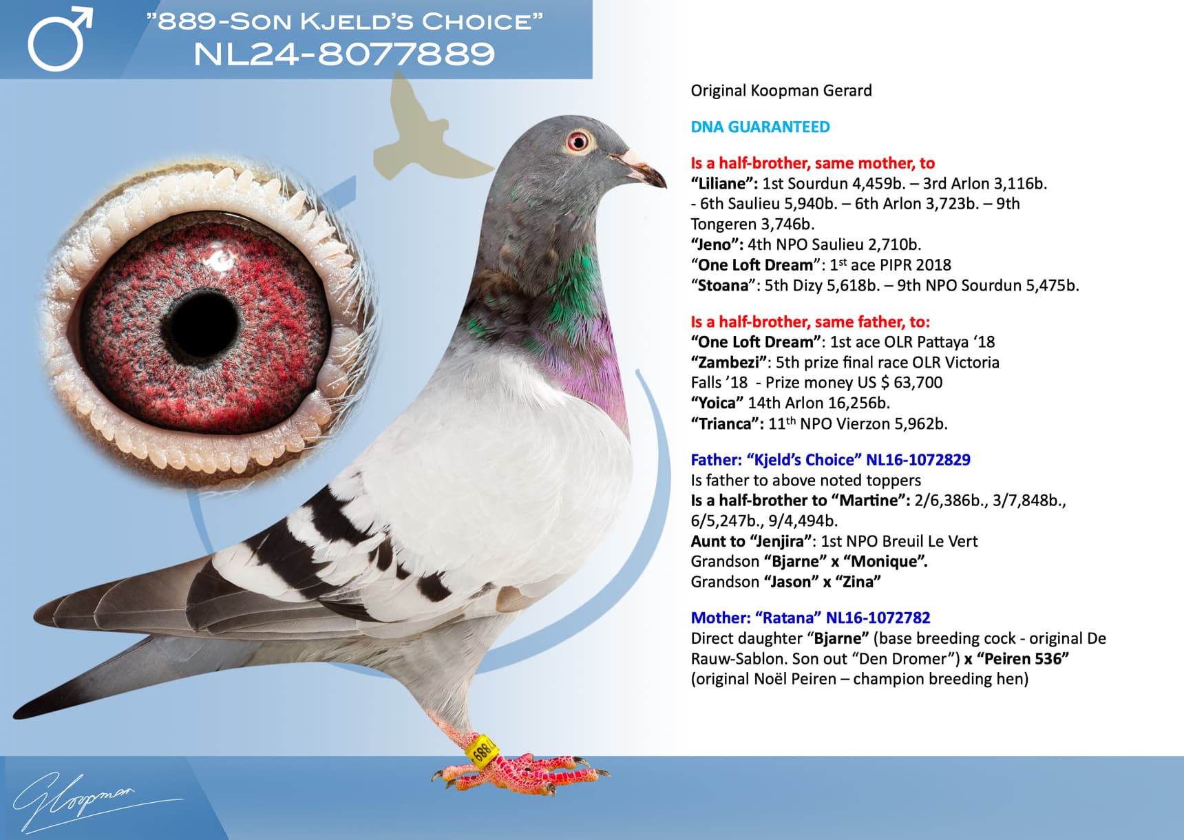 pigeon: undefined