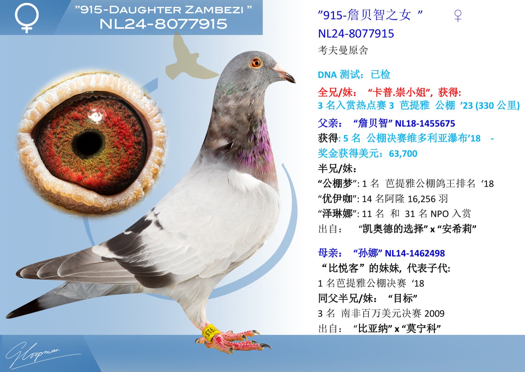 pigeon: ”915-詹贝智之女”