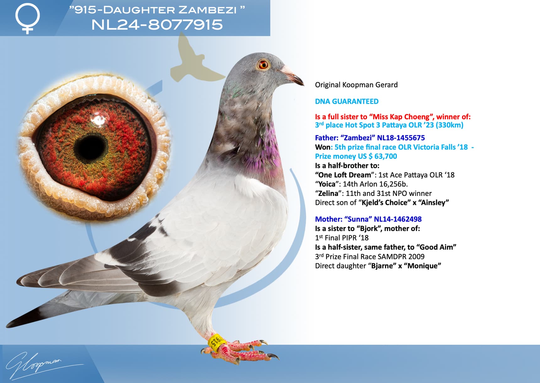 pigeon: undefined