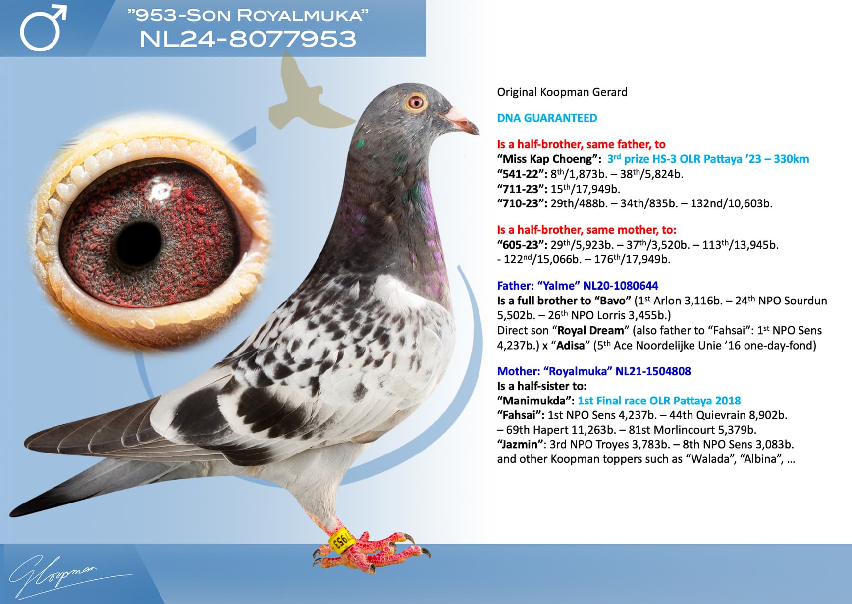 pigeon: undefined