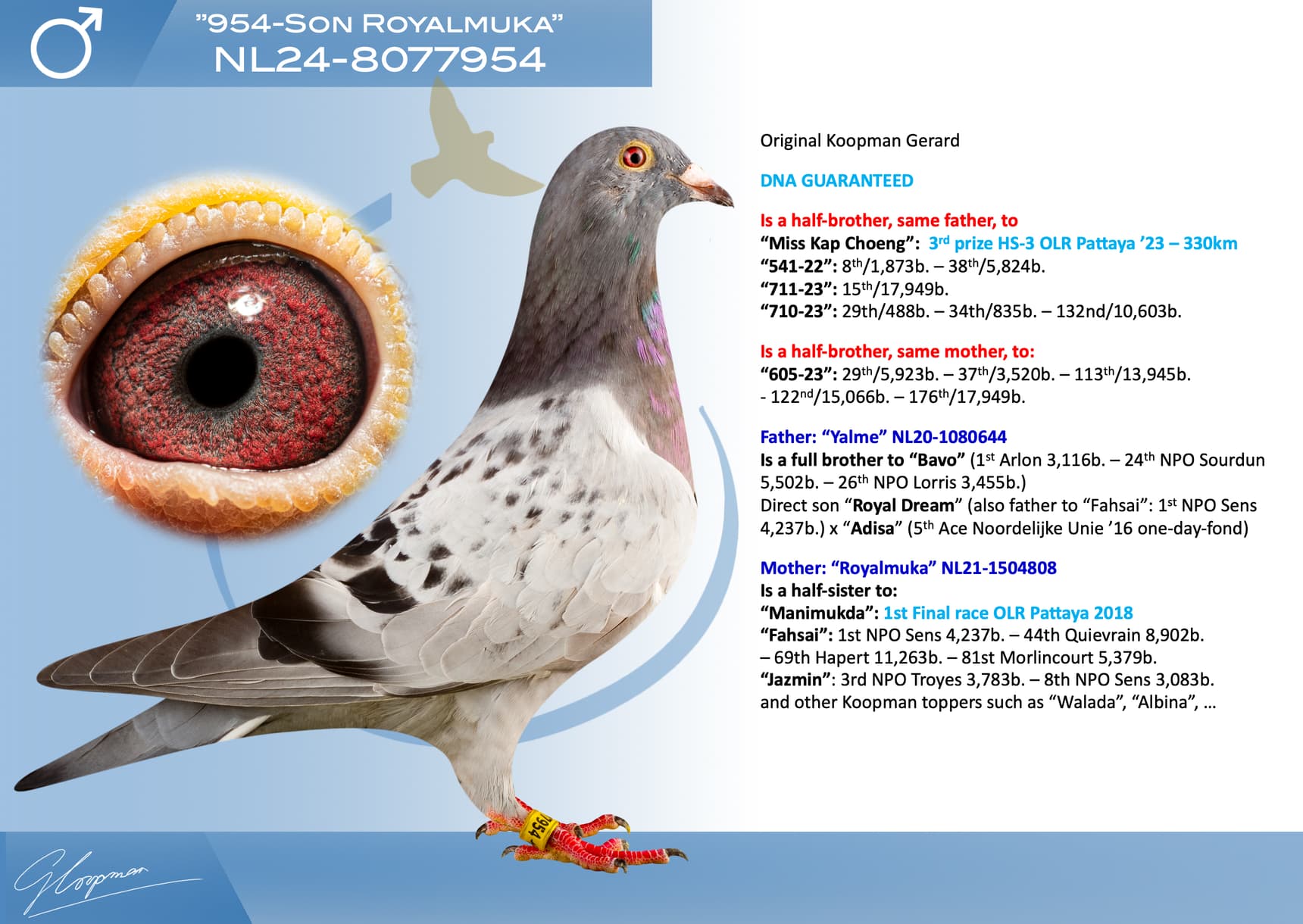 pigeon: undefined