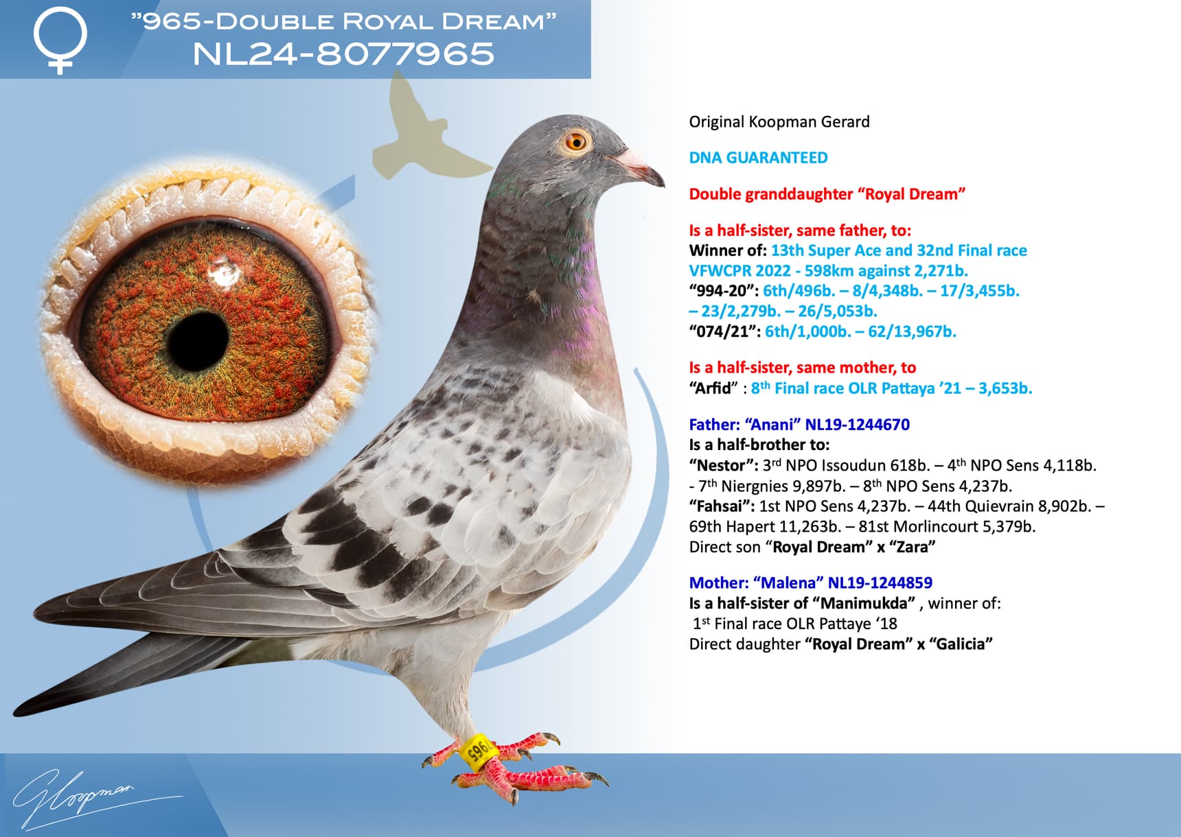 pigeon: undefined