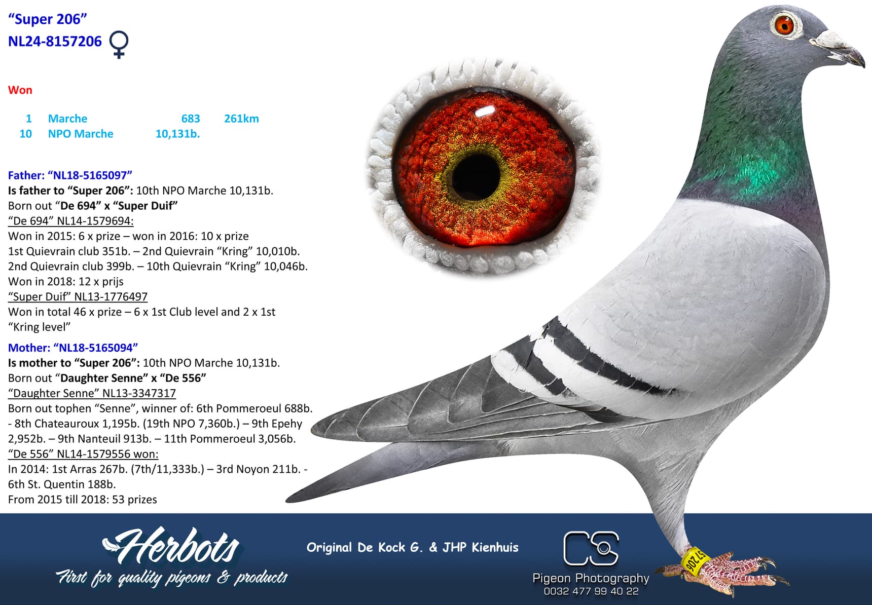 pigeon: undefined
