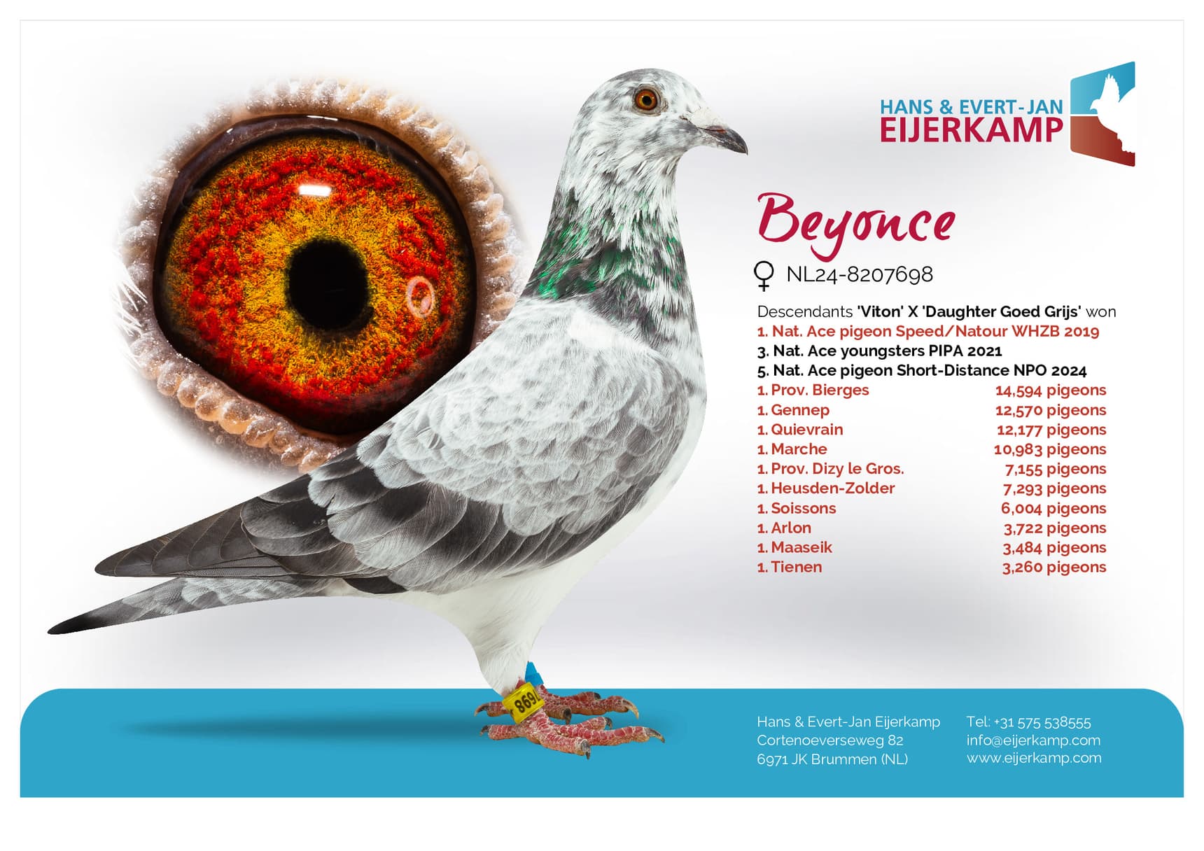 pigeon: undefined