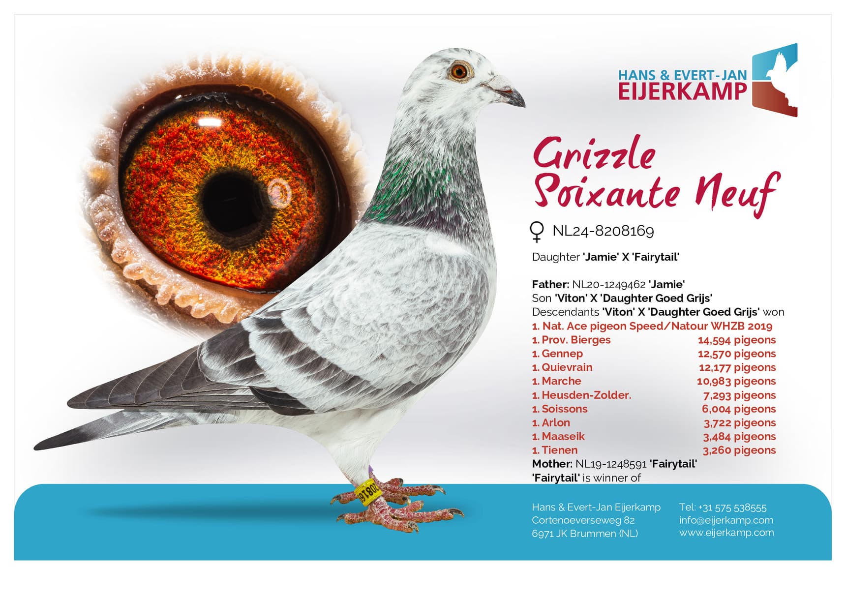 pigeon: undefined