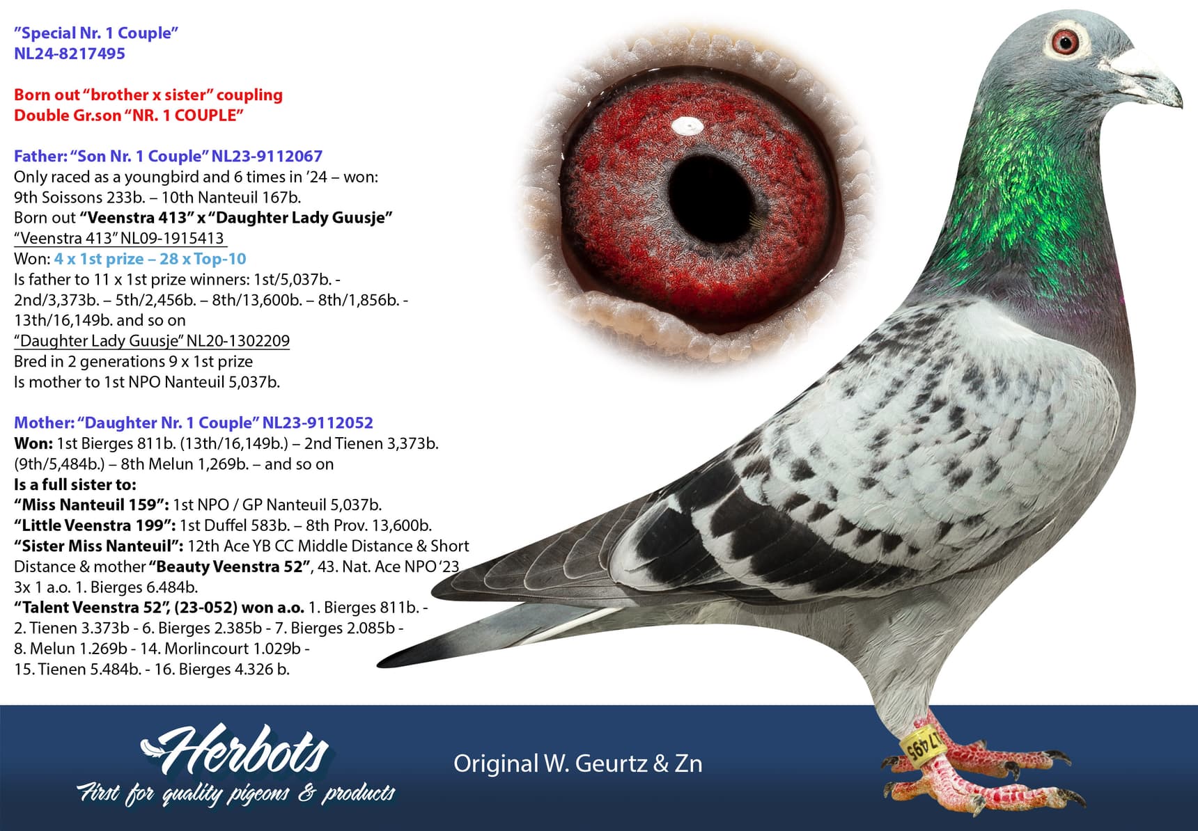 pigeon: undefined