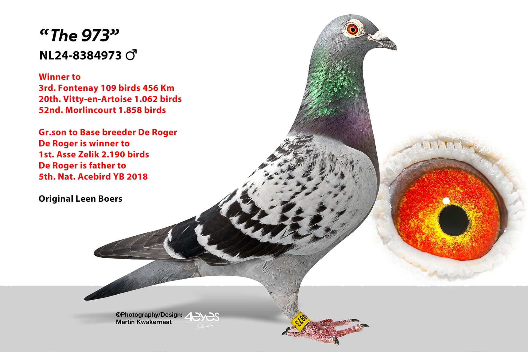 ‘The 973’