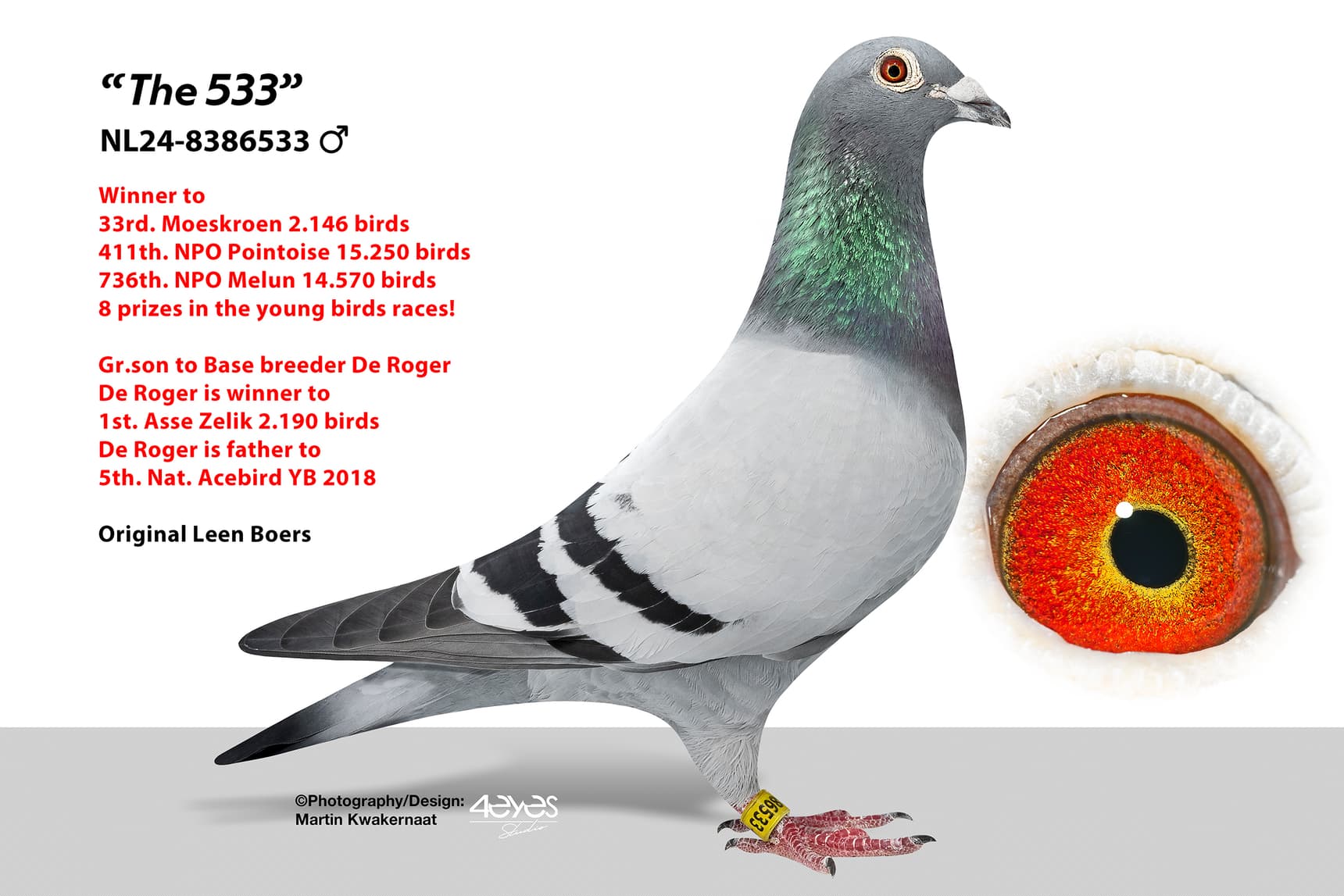 ‘The 533’