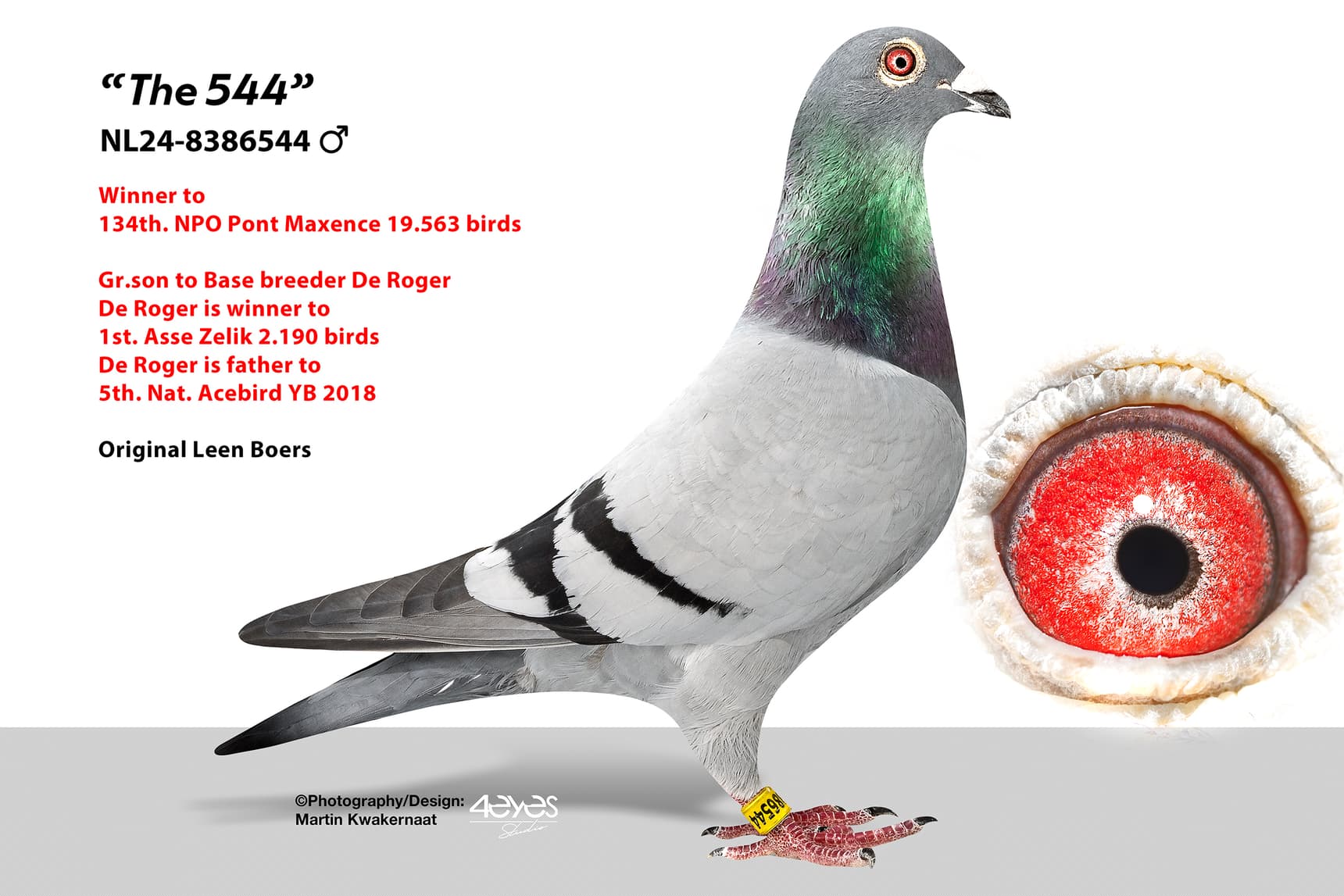 ‘The 544’