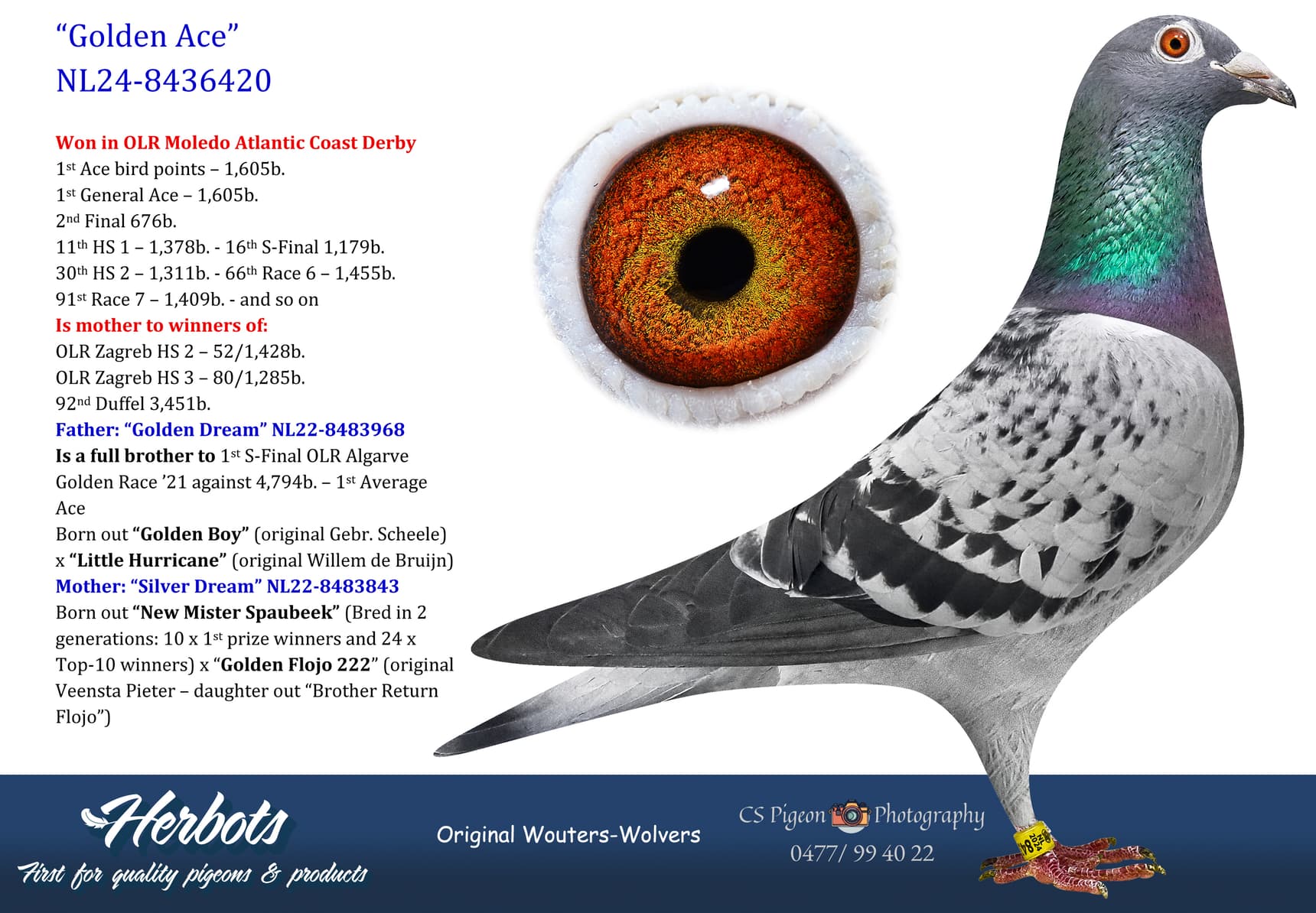 pigeon: undefined
