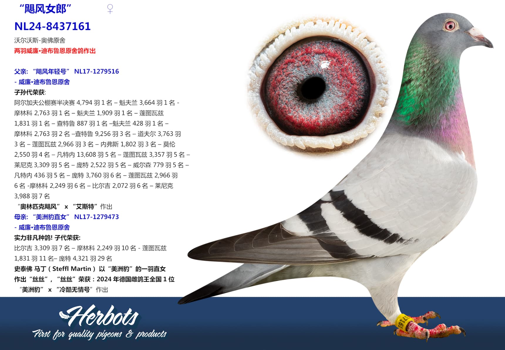 pigeon: undefined