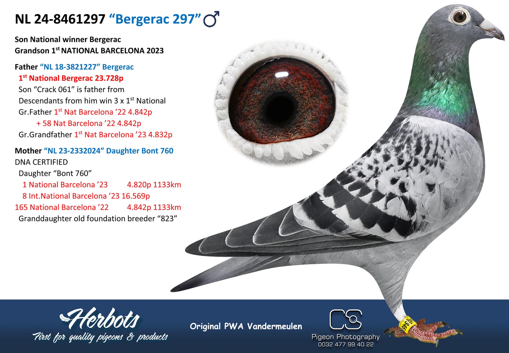 pigeon: undefined