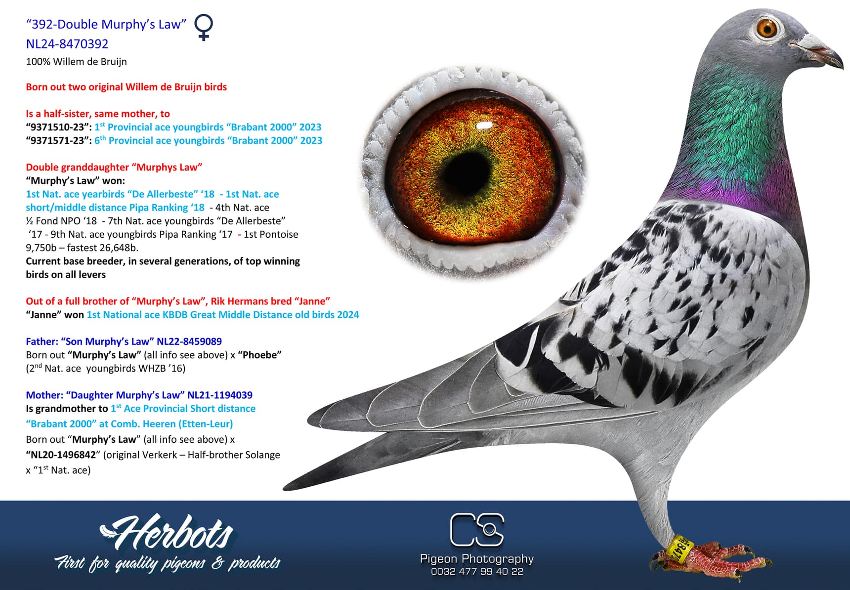 pigeon: undefined