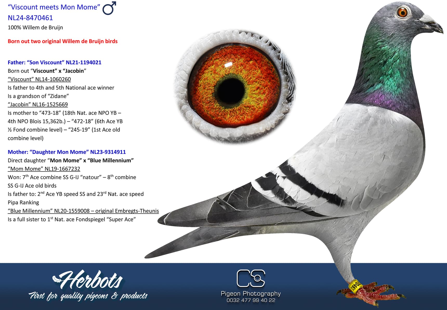 pigeon: undefined