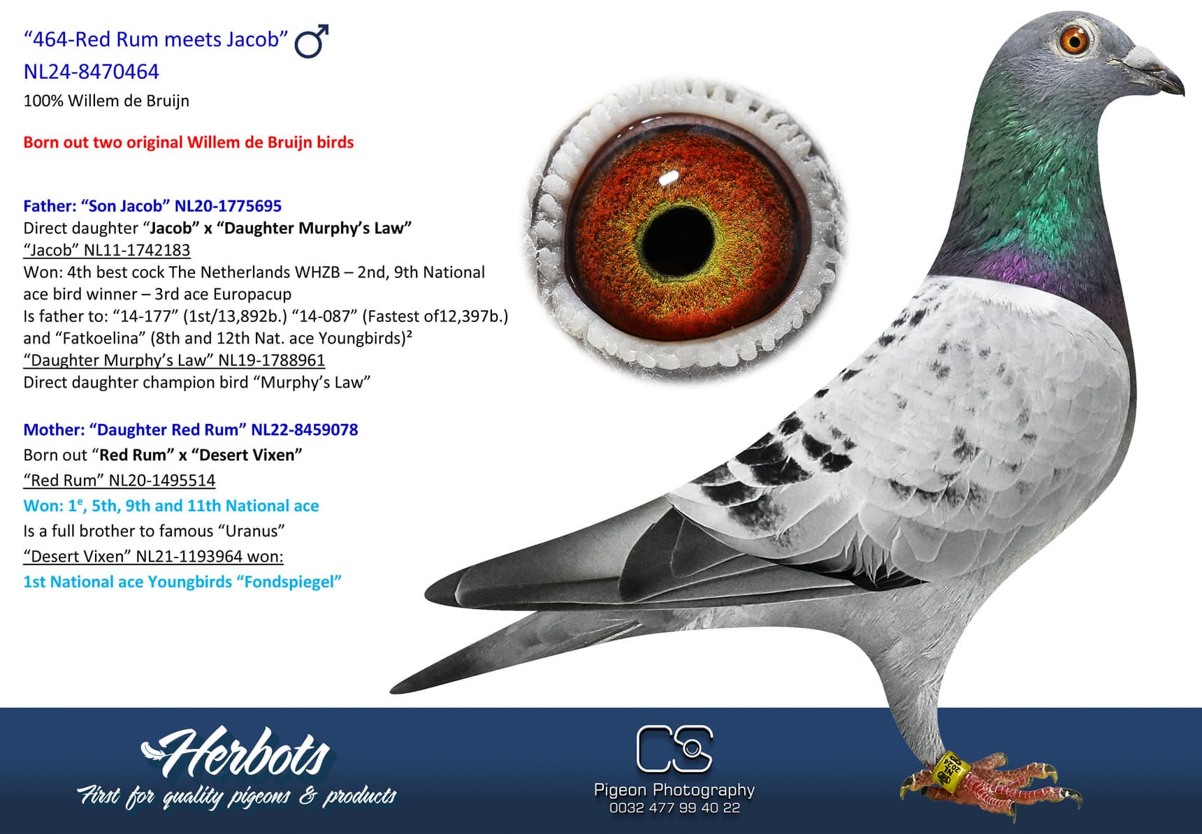 pigeon: undefined