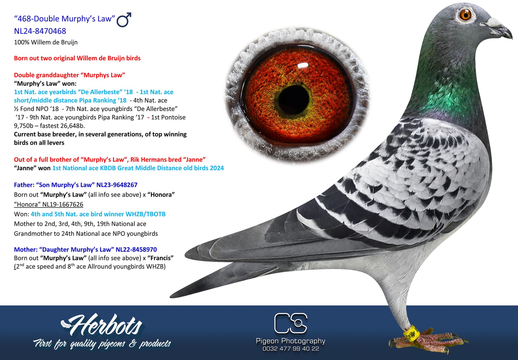 pigeon: undefined