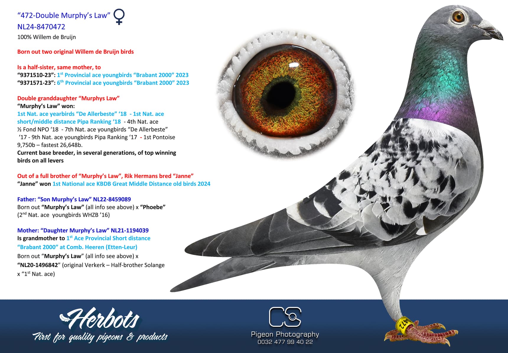 pigeon: undefined