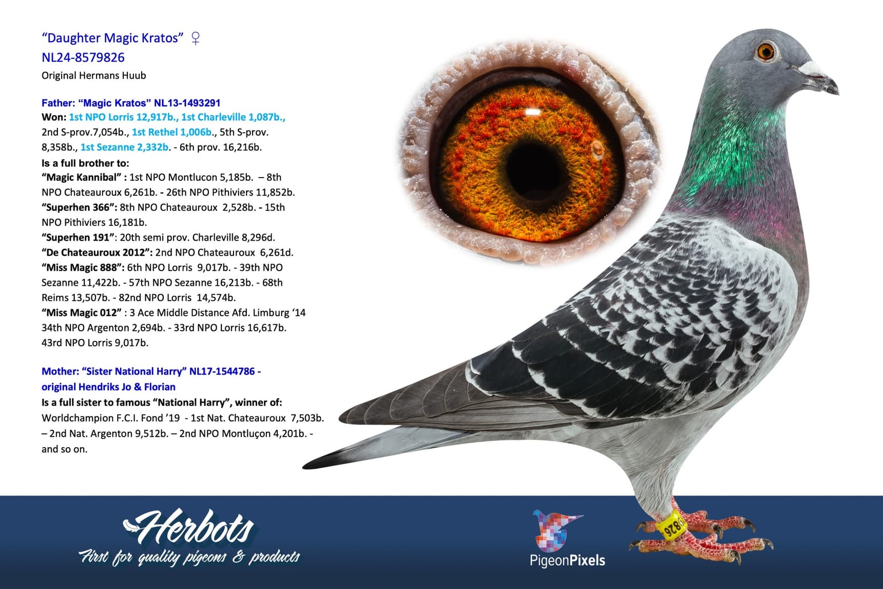 pigeon: undefined