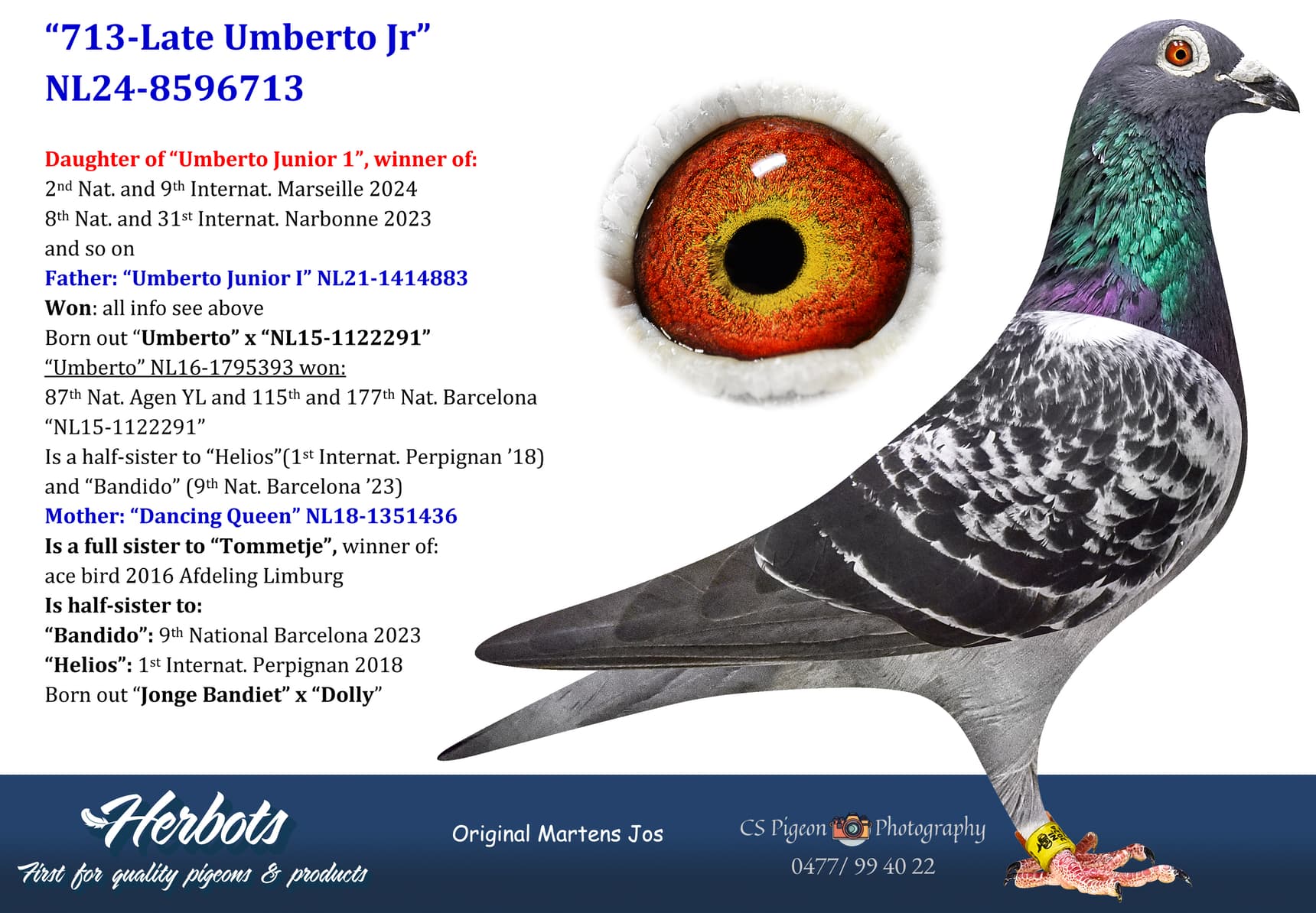 pigeon: undefined